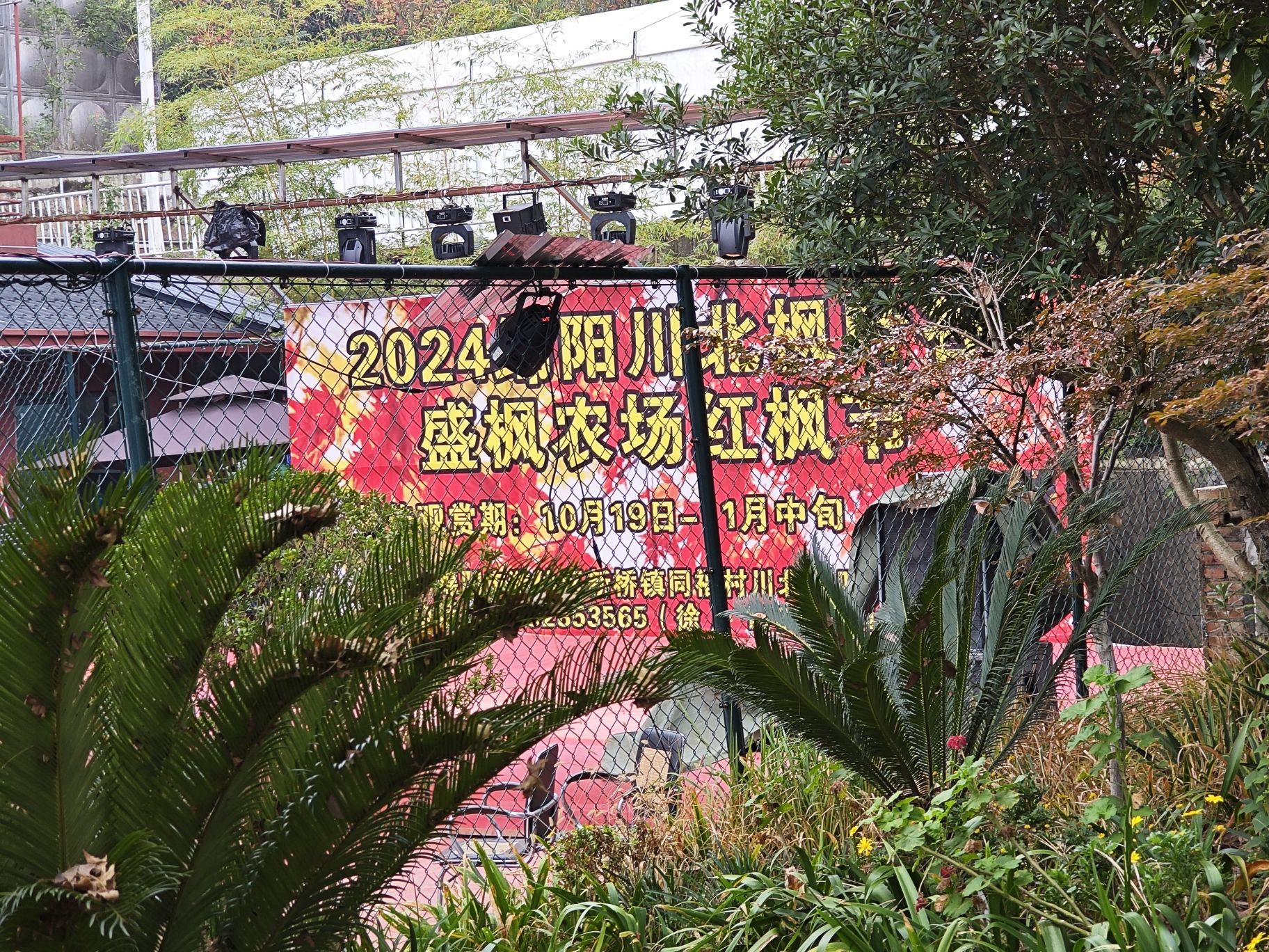 川北枫叶谷旅行图片 3