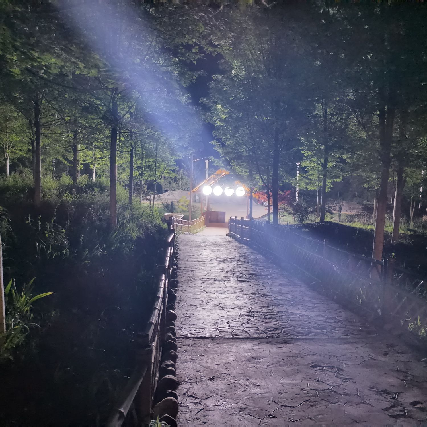 川北枫叶谷旅行图片 2