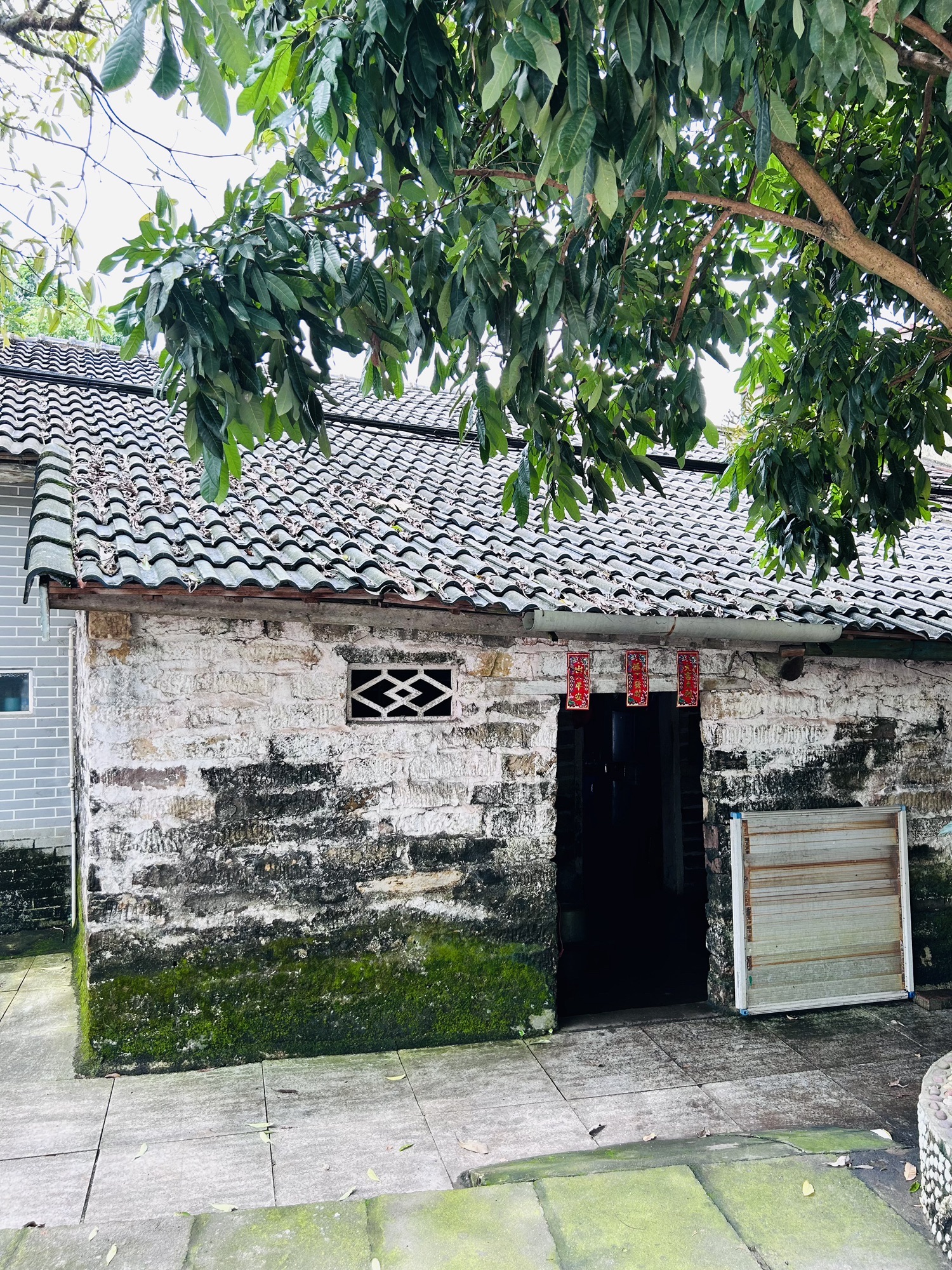 竹山古街旅行图片 2