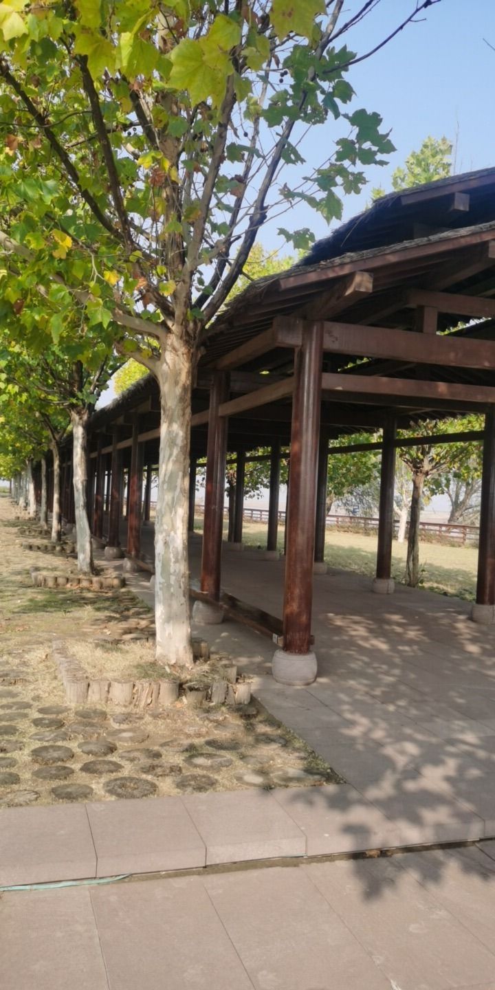观河长廊旅行图片 3