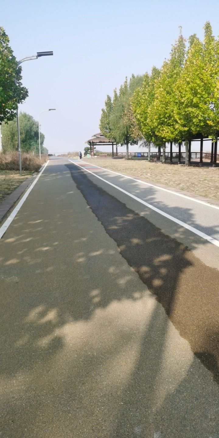 观河长廊旅行图片 2