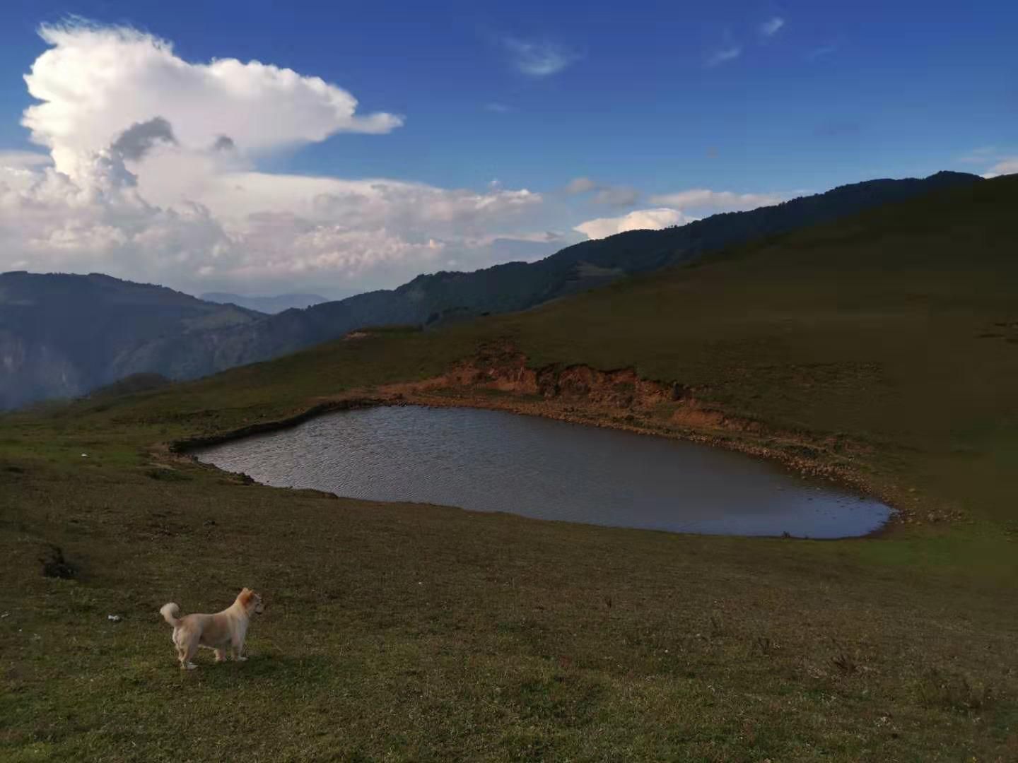 马鹿寨景区旅行图片 3