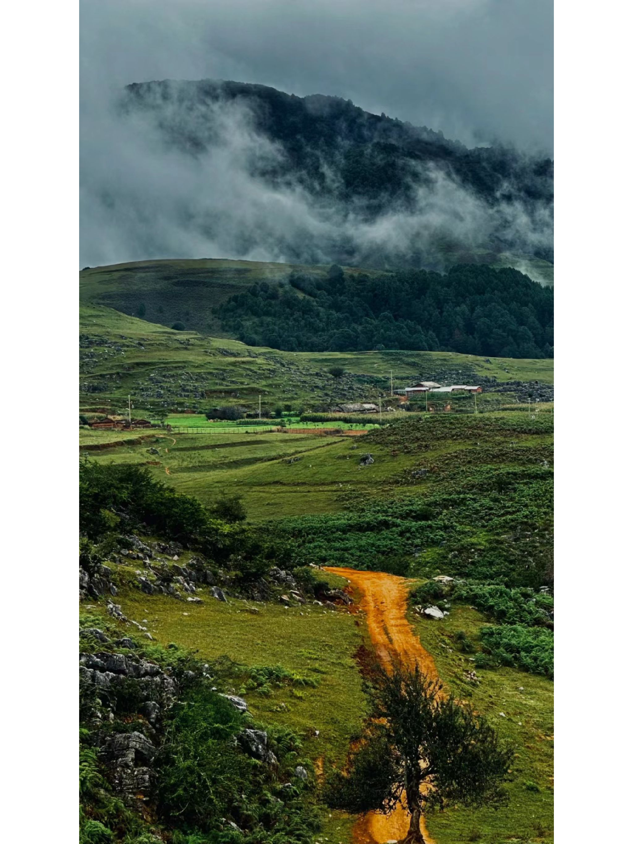 马鹿寨景区旅行图片 2
