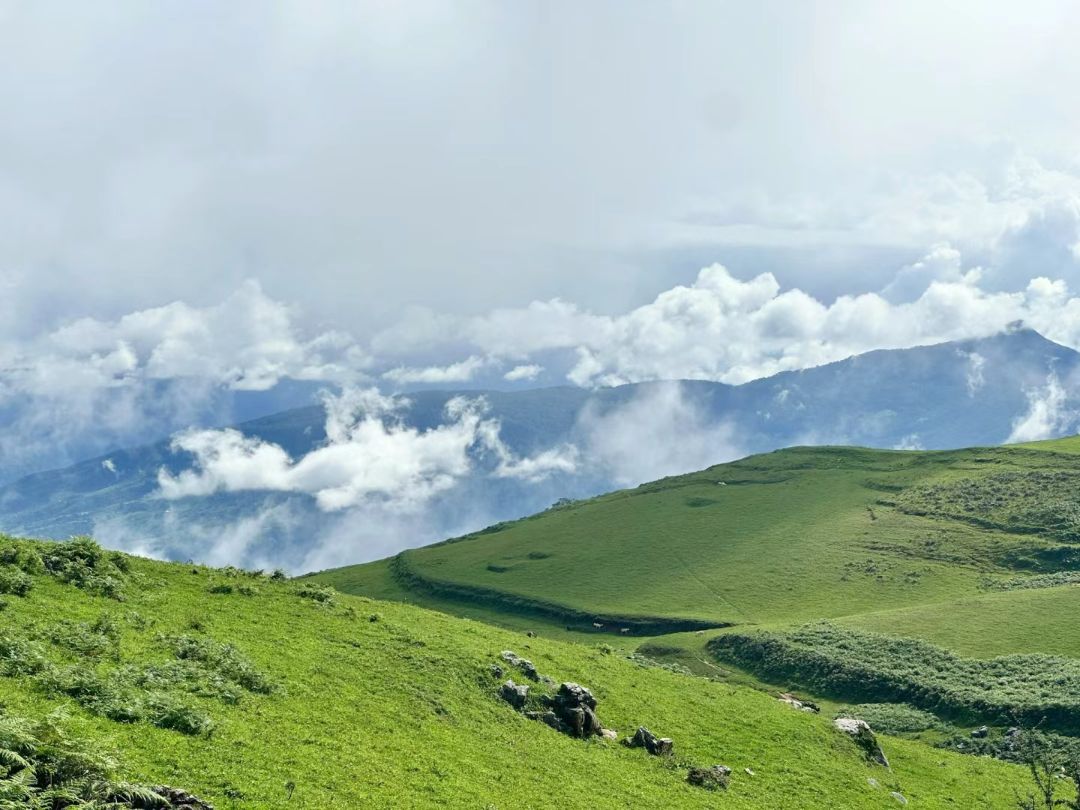 马鹿寨景区旅行图片 1