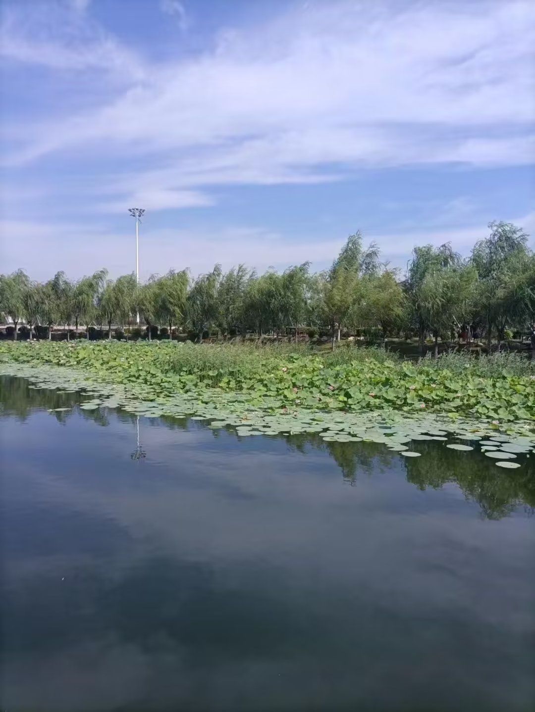 西湖生态广场