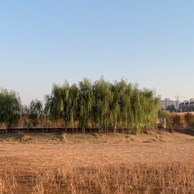 北方民族大学(西区)-假山公园