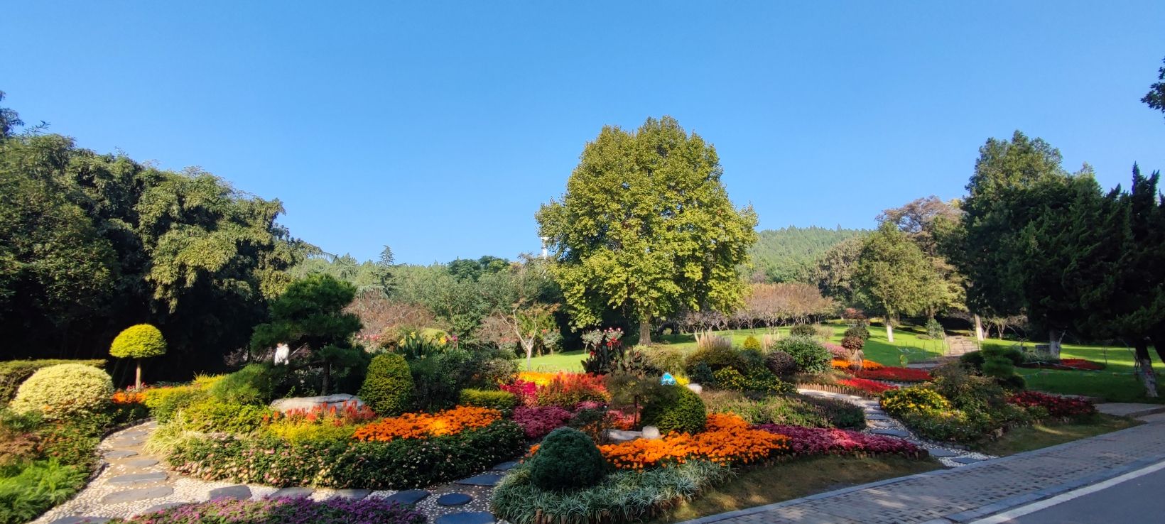 相山公园-南门花境