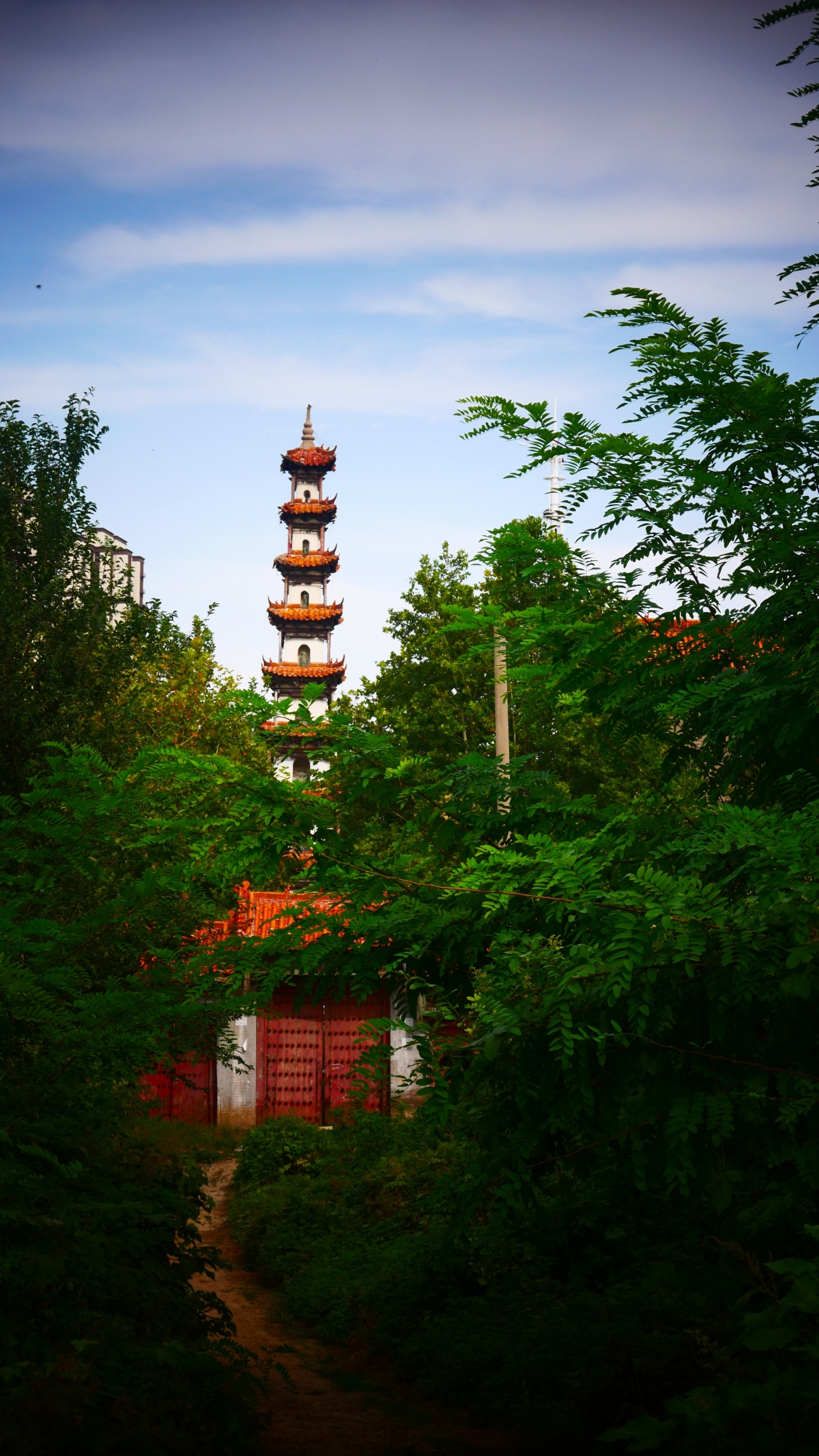 周口沙颍生态谷旅游度假区旅行图片 2