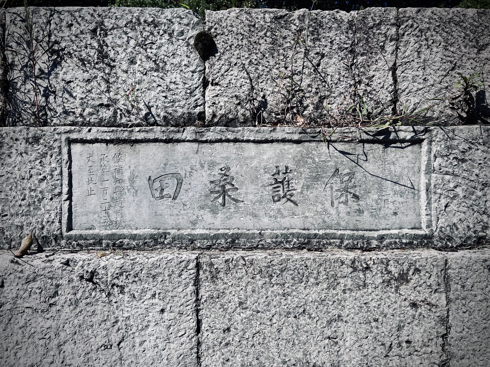 华亭古海塘旅行图片 3