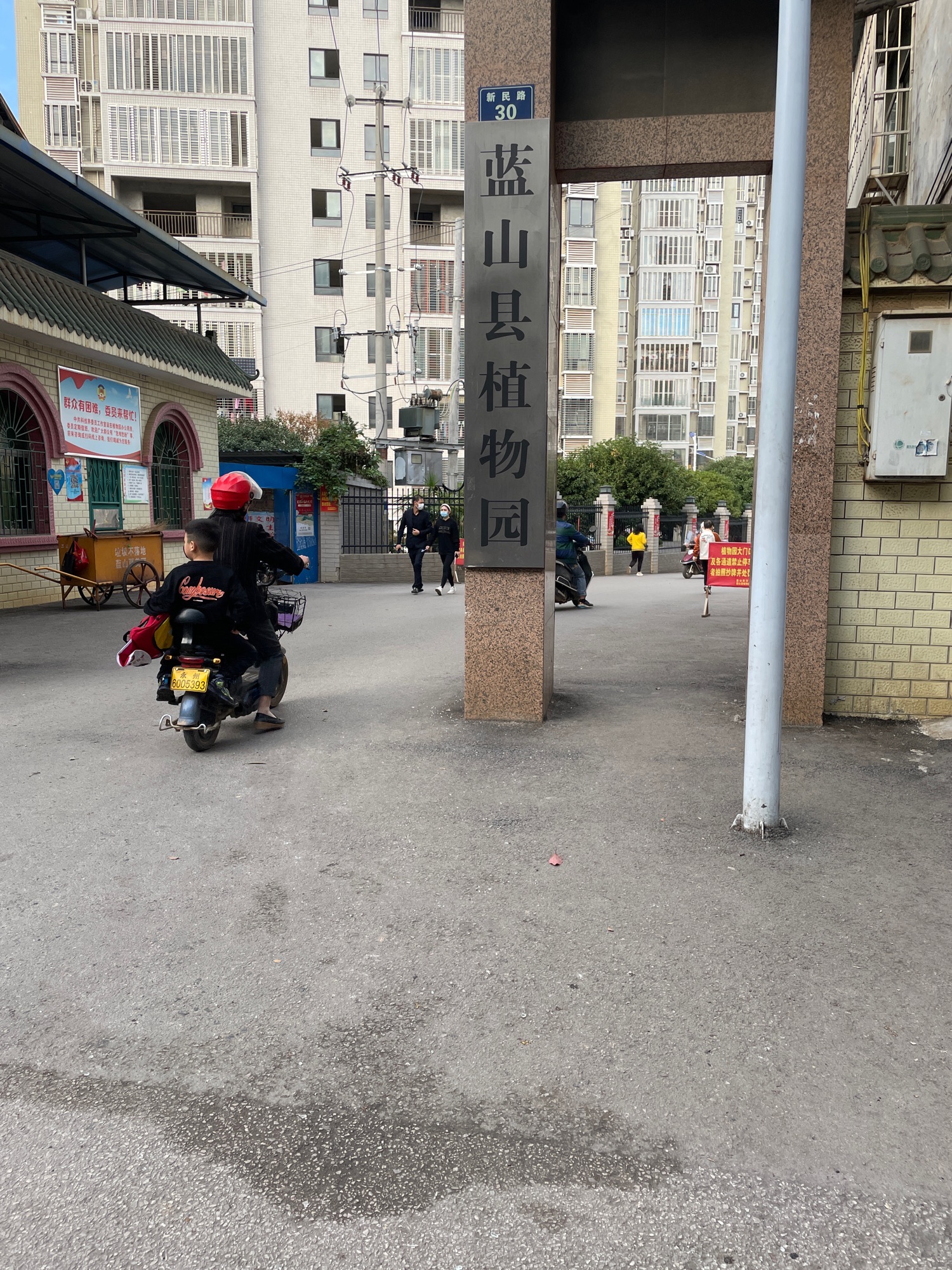 蓝山县植物园旅行图片 1