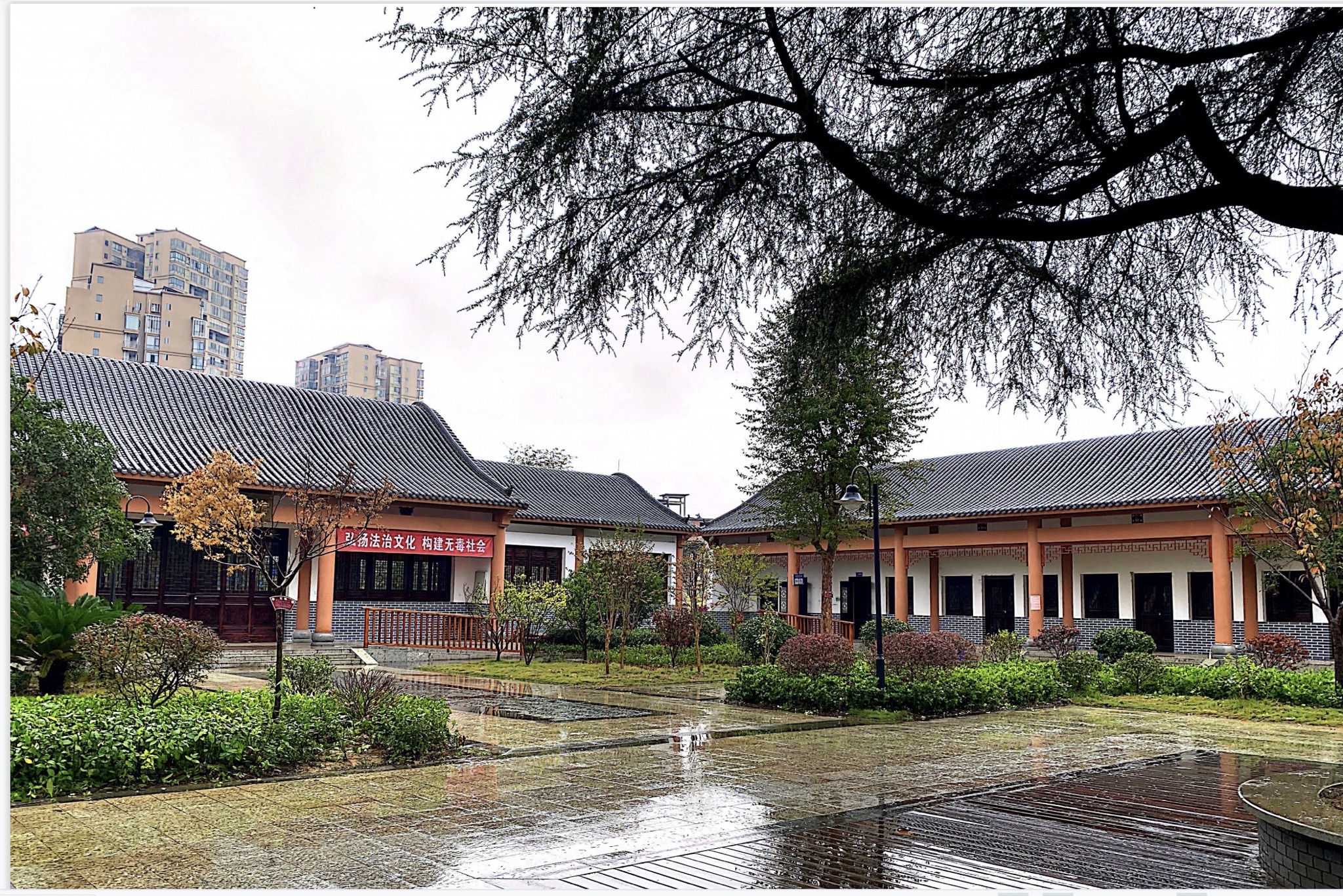 蓝山县植物园旅行图片 1