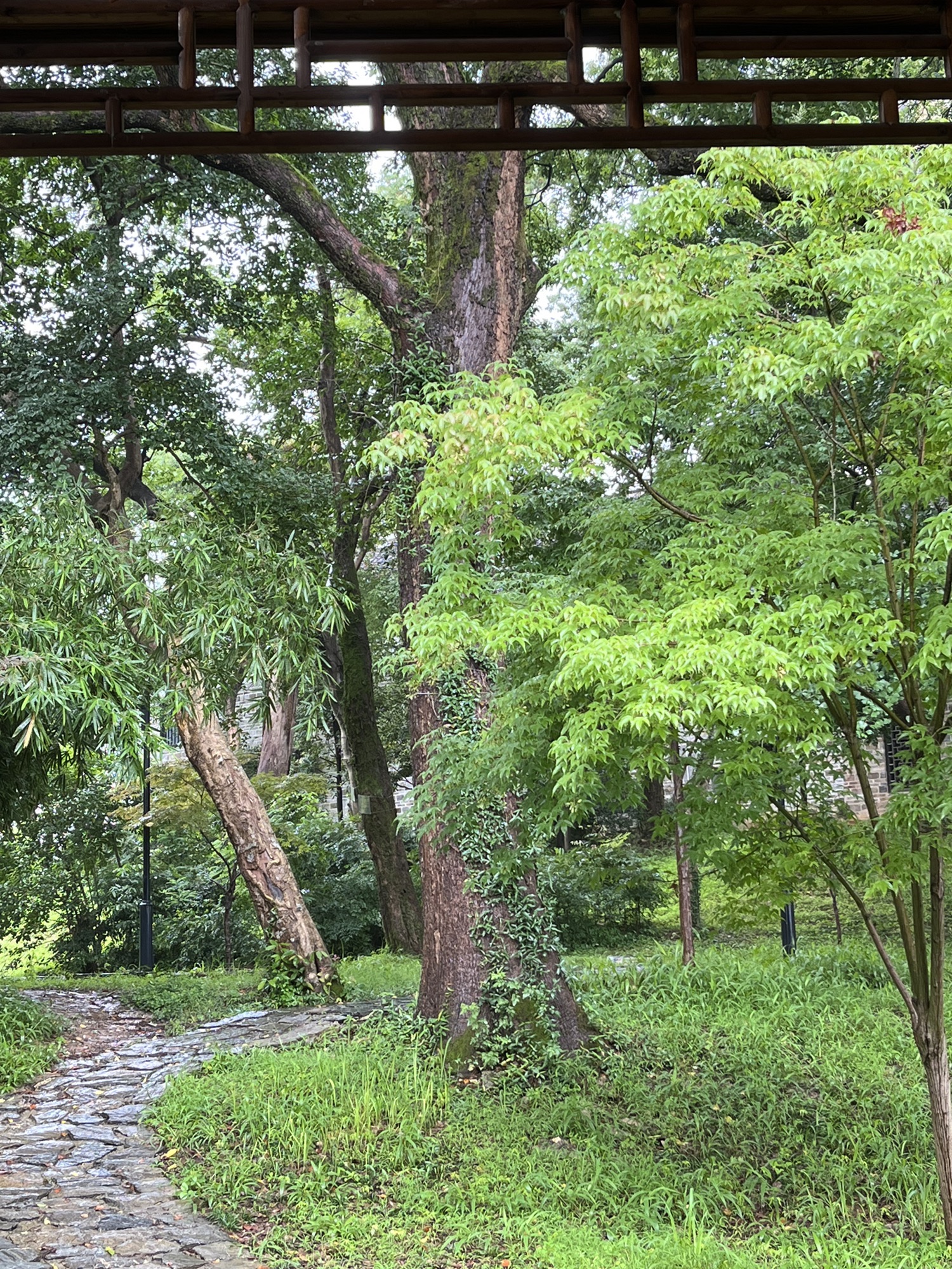 蓝山县植物园旅行图片 1