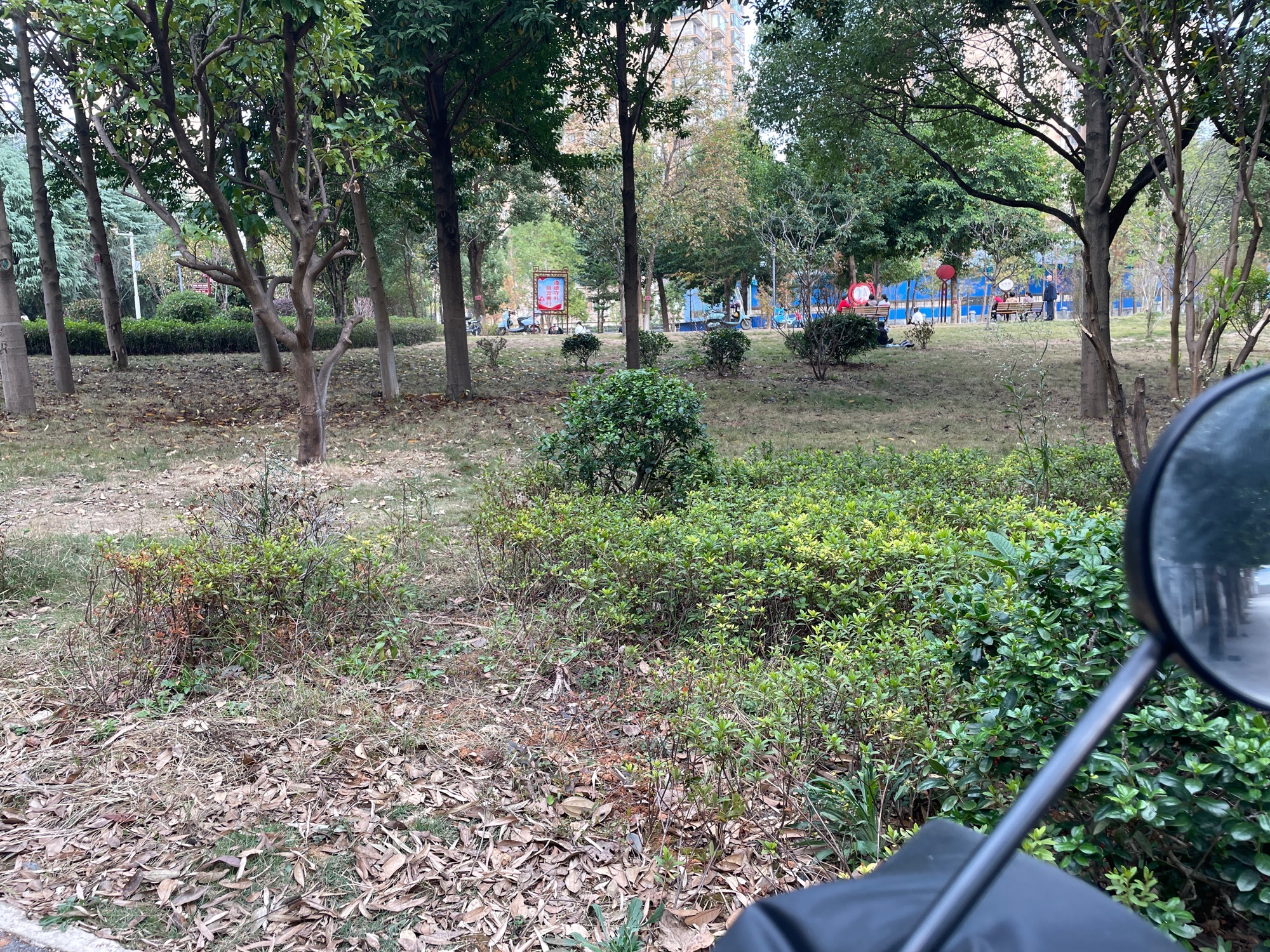 蓝山县植物园旅行图片 2