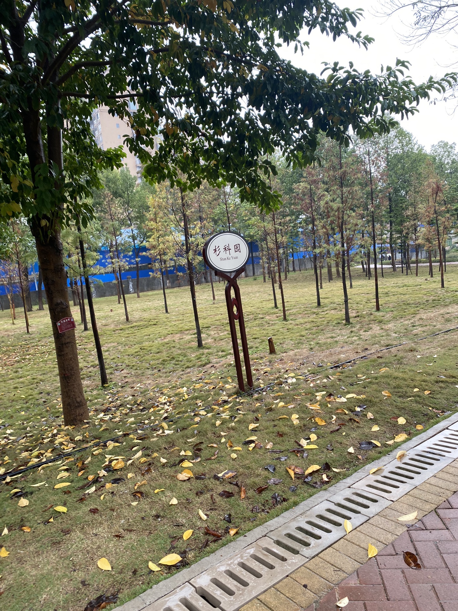 蓝山县植物园旅行图片 3