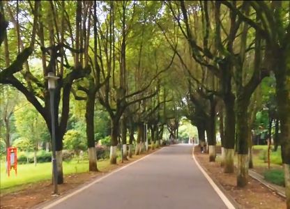 蓝山县植物园旅行图片 1