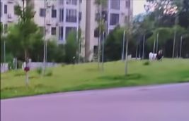 蓝山县植物园旅行图片 3