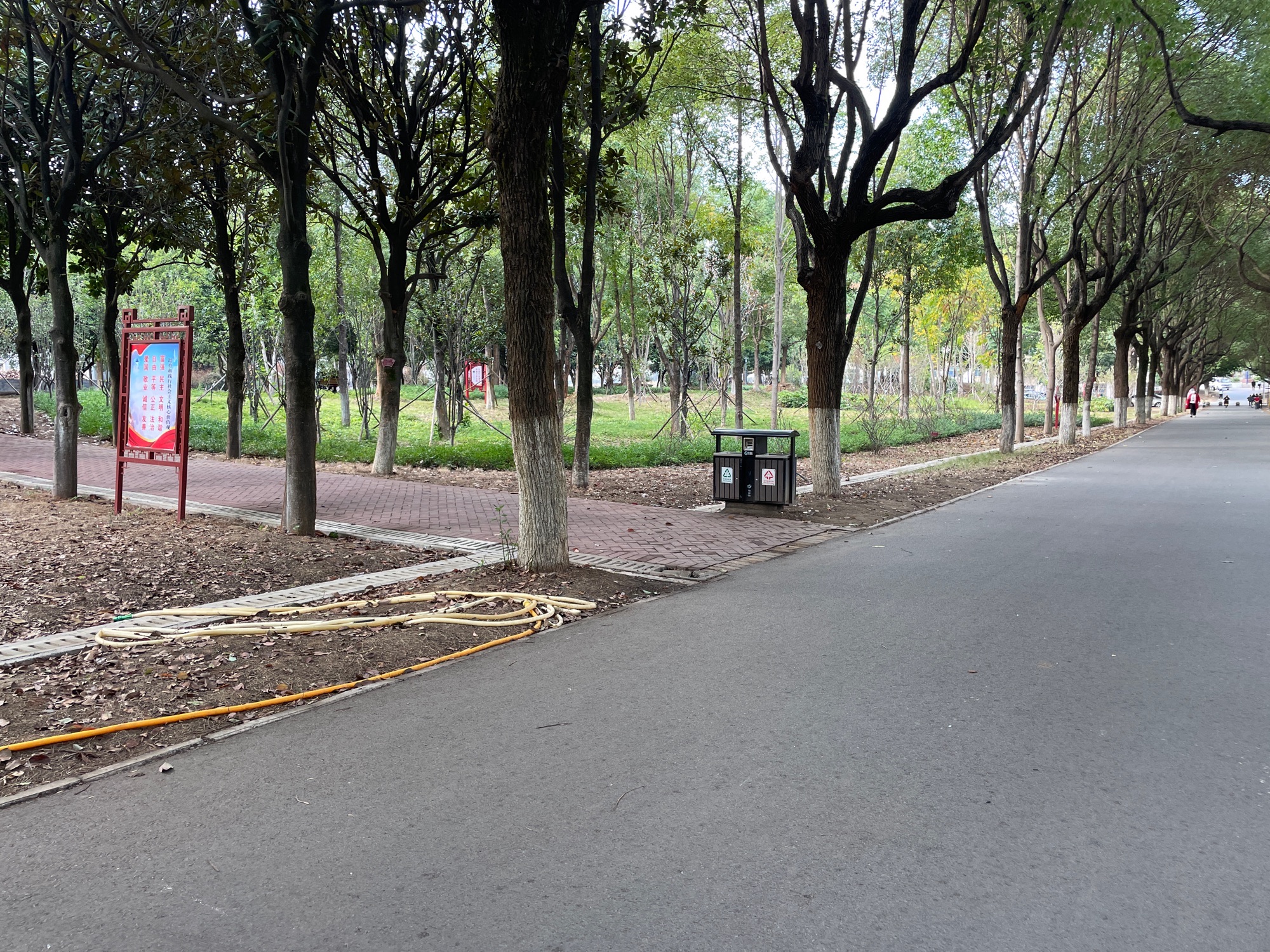 蓝山县植物园旅行图片 3