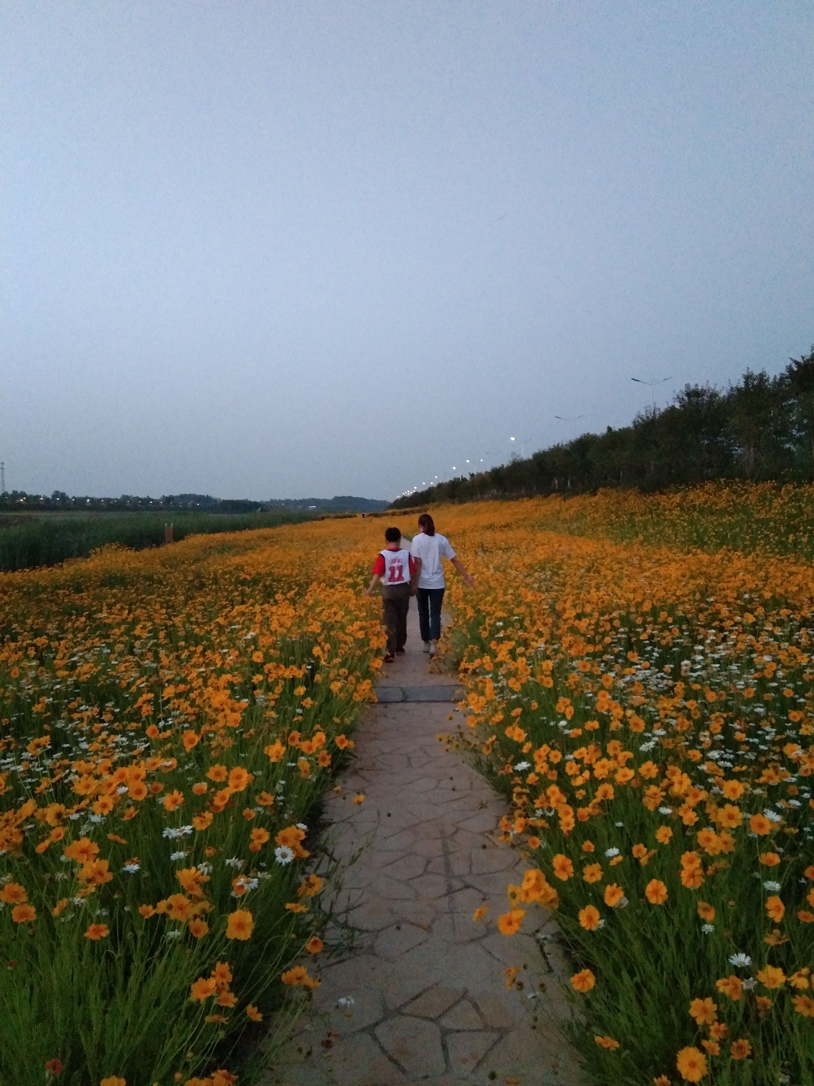 嫘祖河湿地旅行图片 3