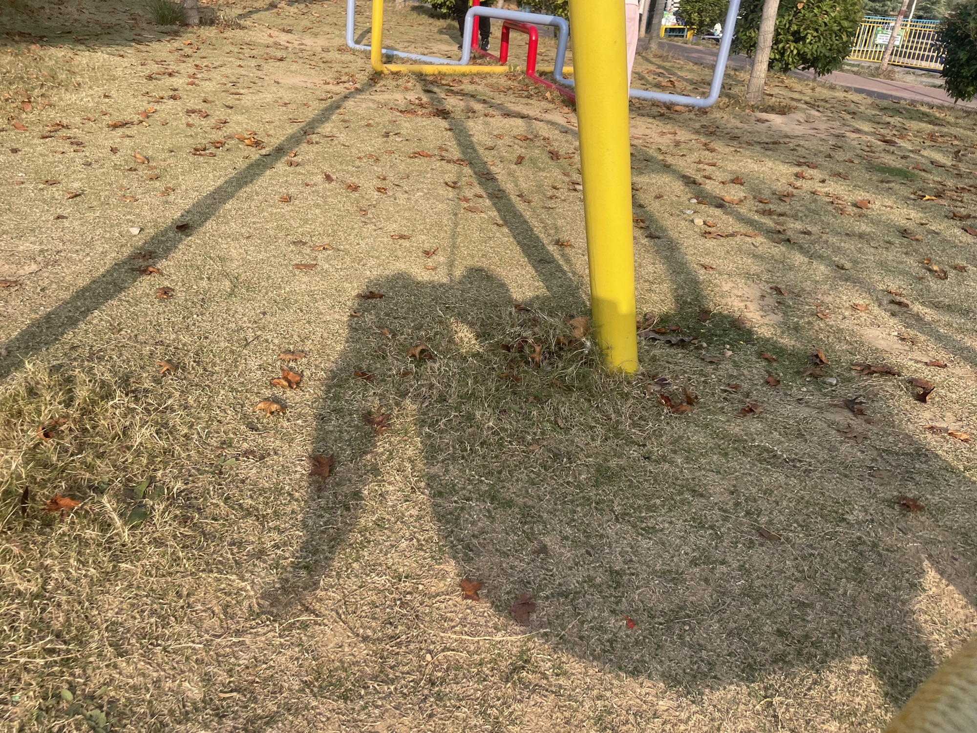 南太行花海旅行图片 1