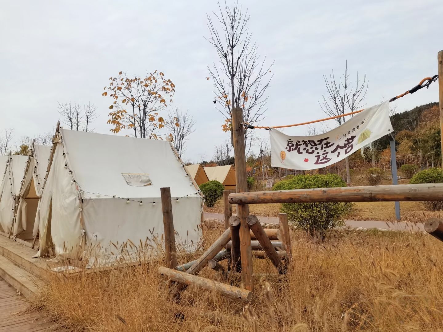 南太行花海旅行图片 1
