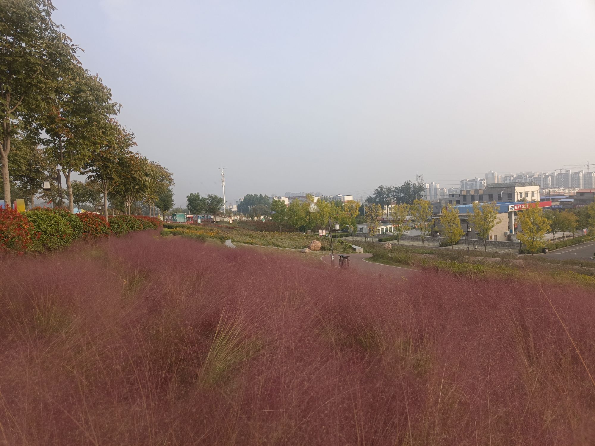 南太行花海旅行图片 2