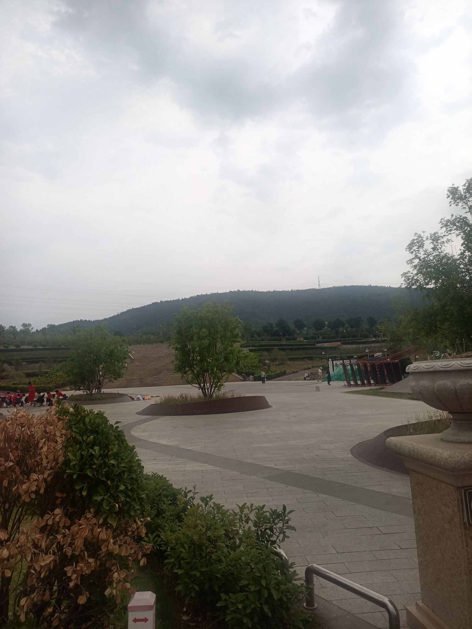 南太行花海旅行图片 2