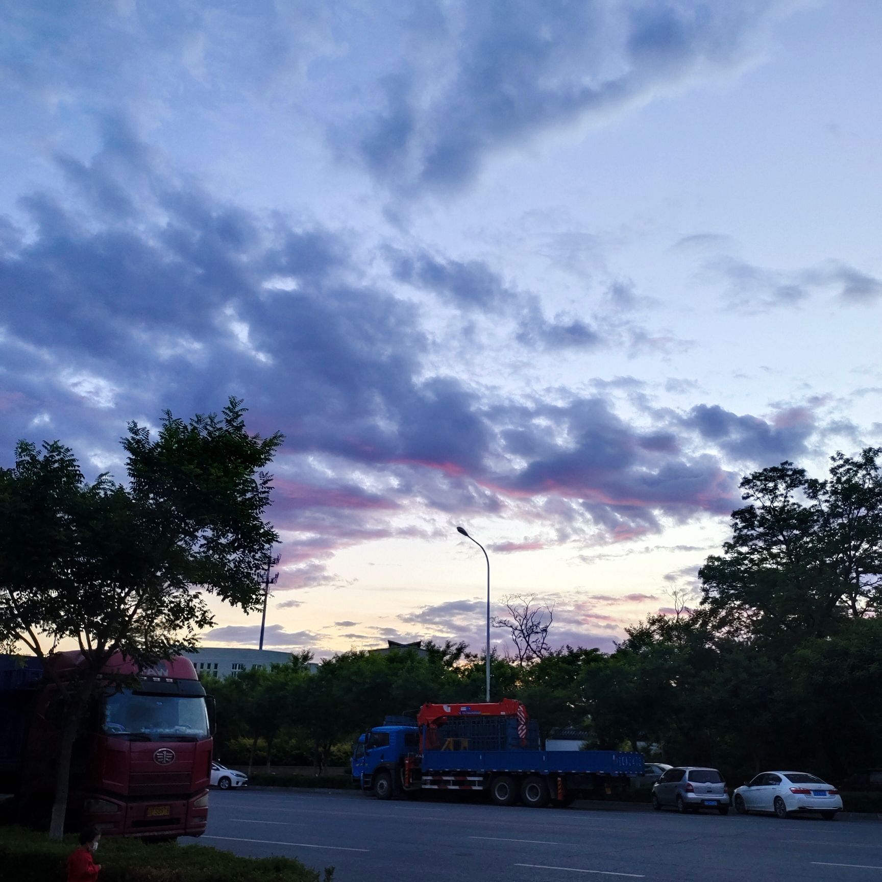 南山森林公园旅行图片 3