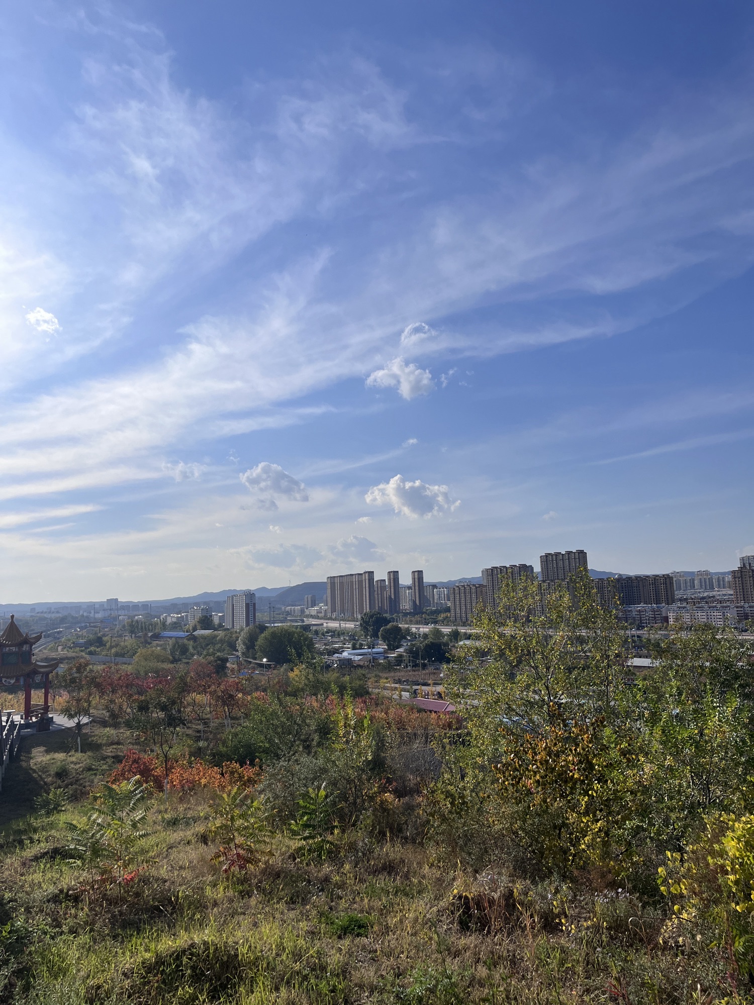 南山森林公园旅行图片 2