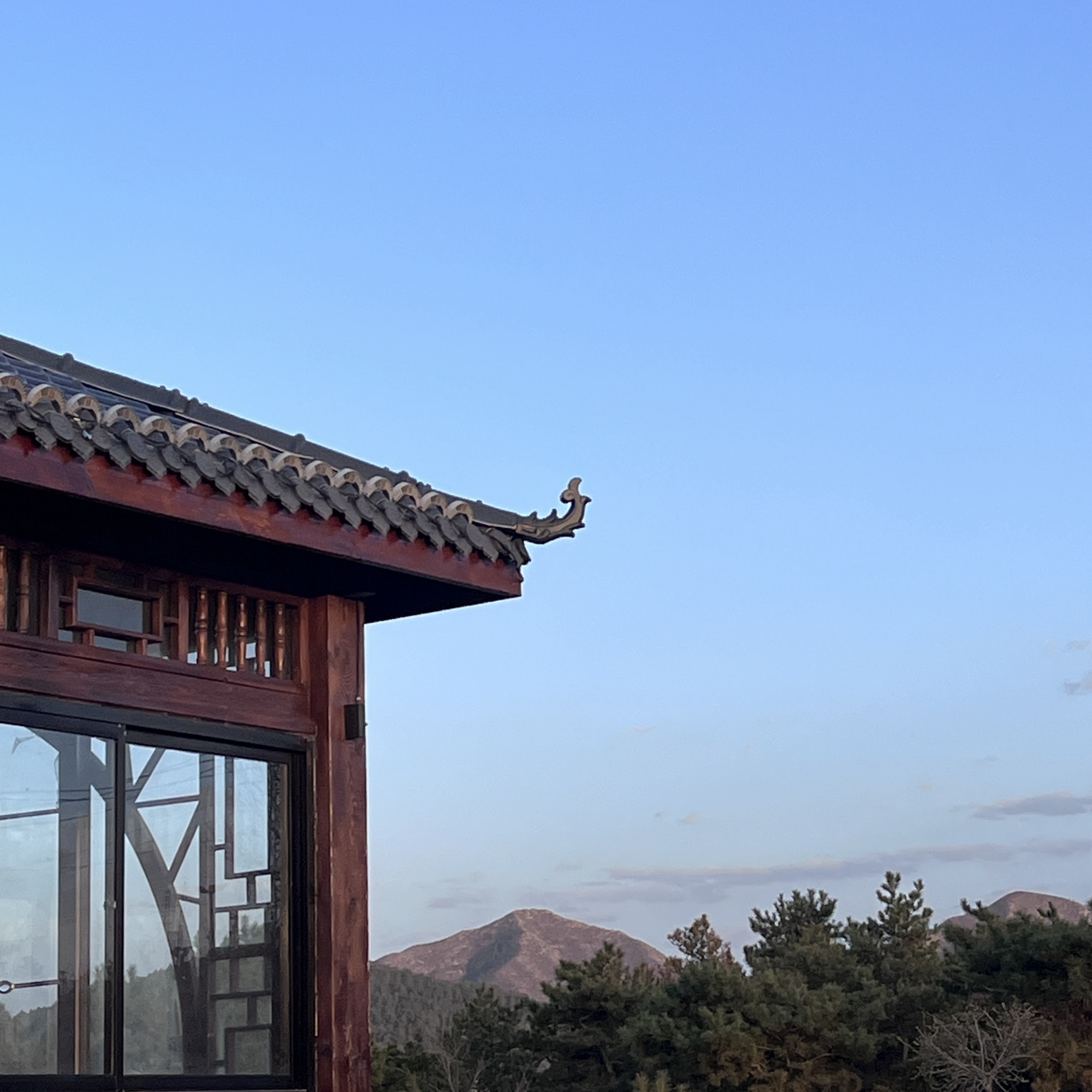 南山森林公园旅行图片 3