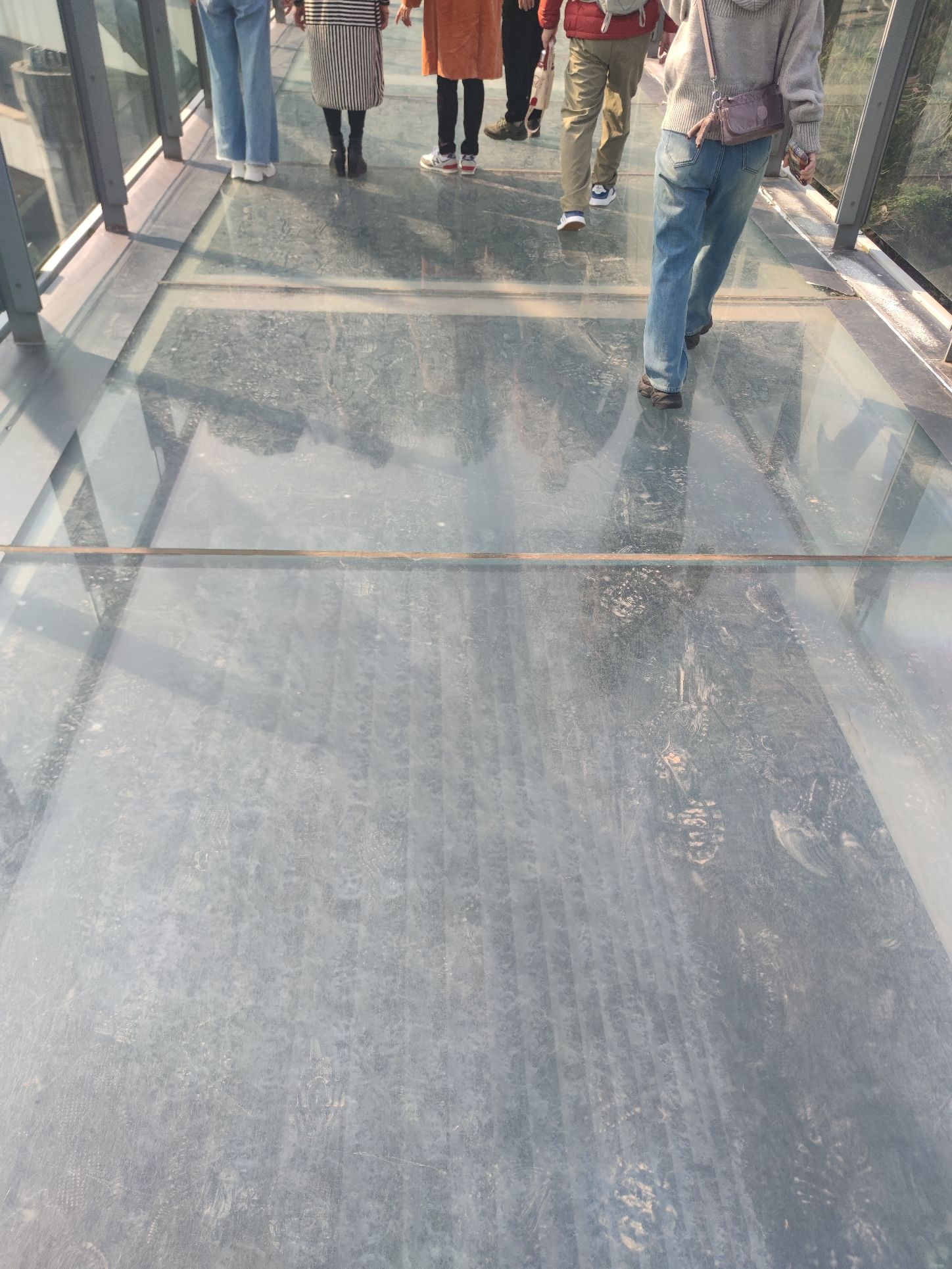 仙桃数据谷玻璃廊桥旅行图片 2