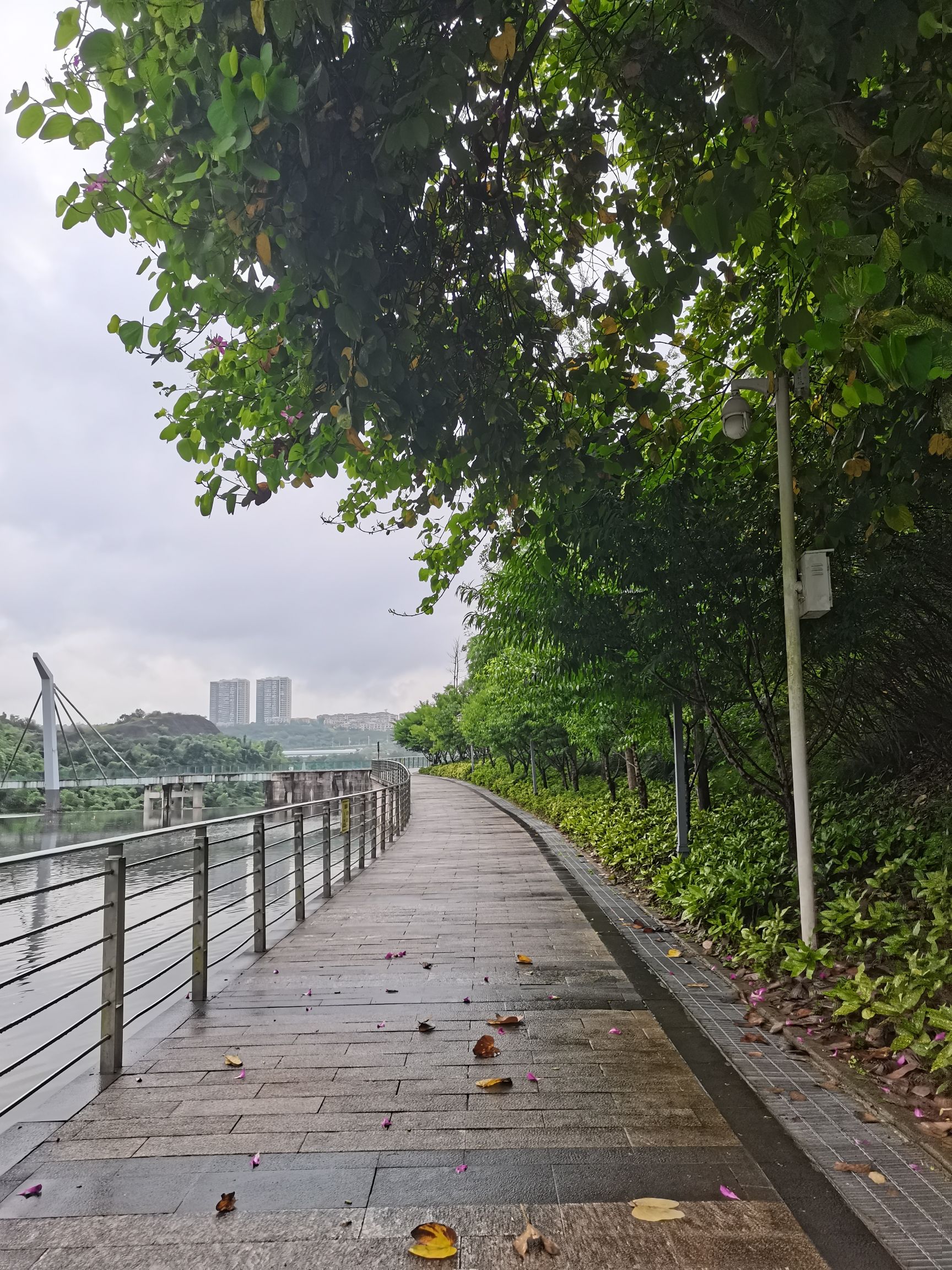 仙桃数据谷玻璃廊桥旅行图片 3