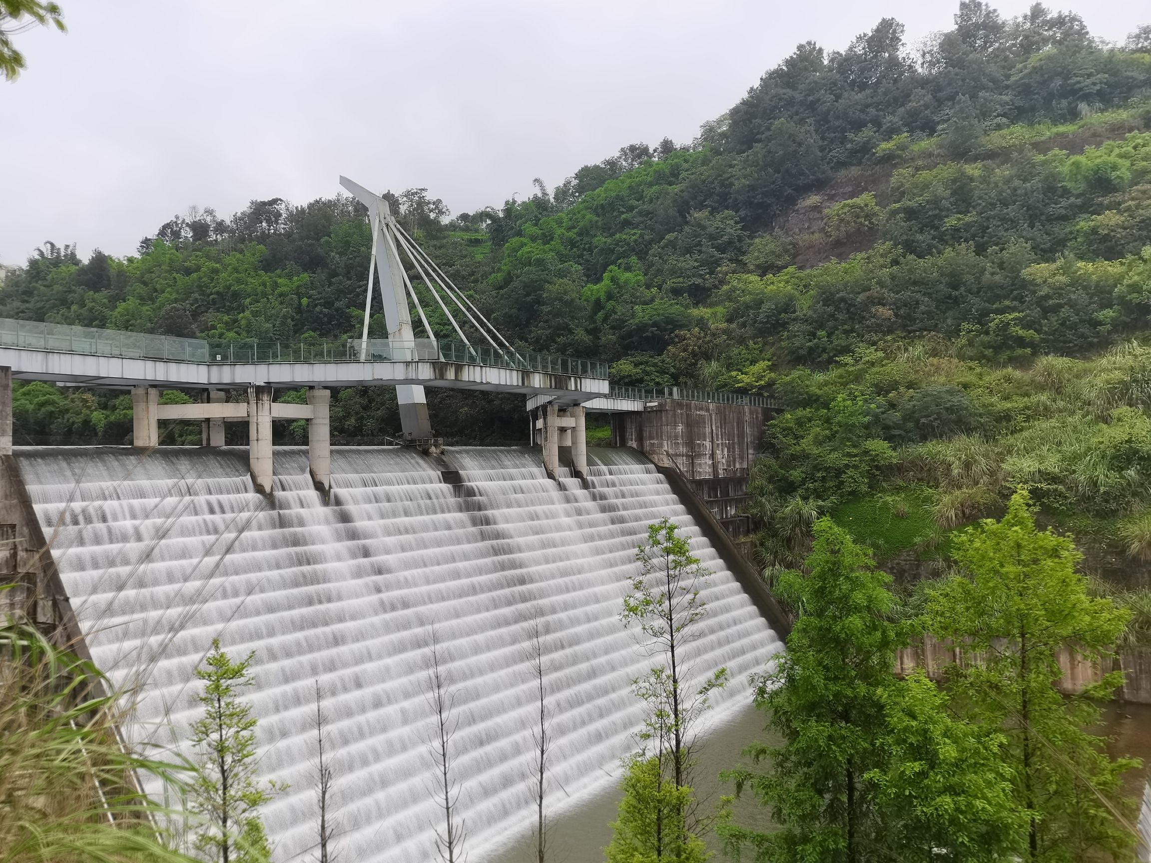 仙桃数据谷玻璃廊桥旅行图片 2