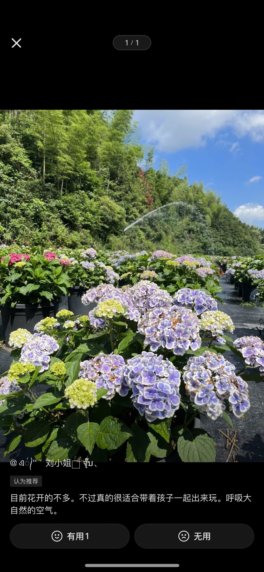 湖南云山谷花卉小镇旅行图片 2