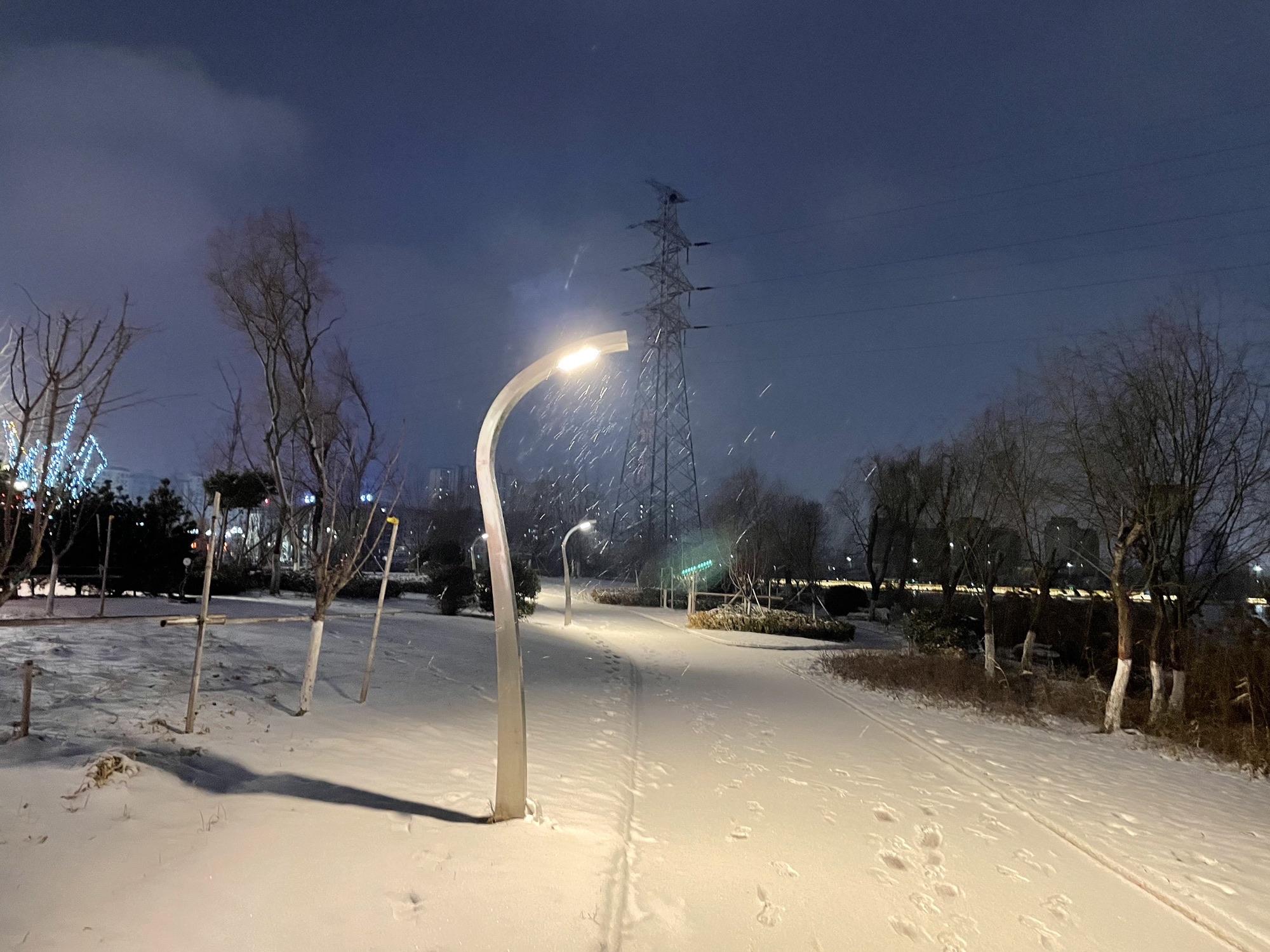 诚信广场旅行图片 1