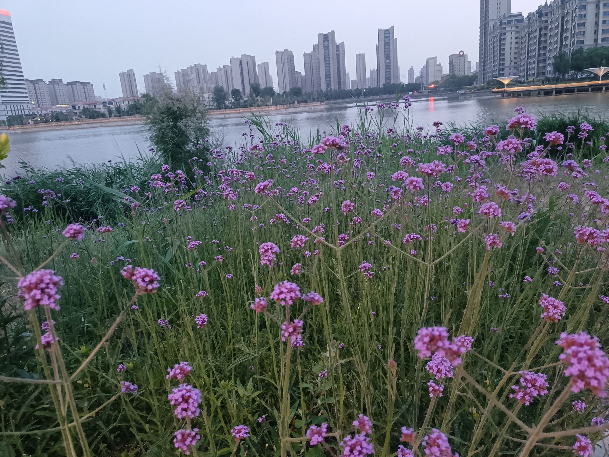 诚信广场旅行图片 2