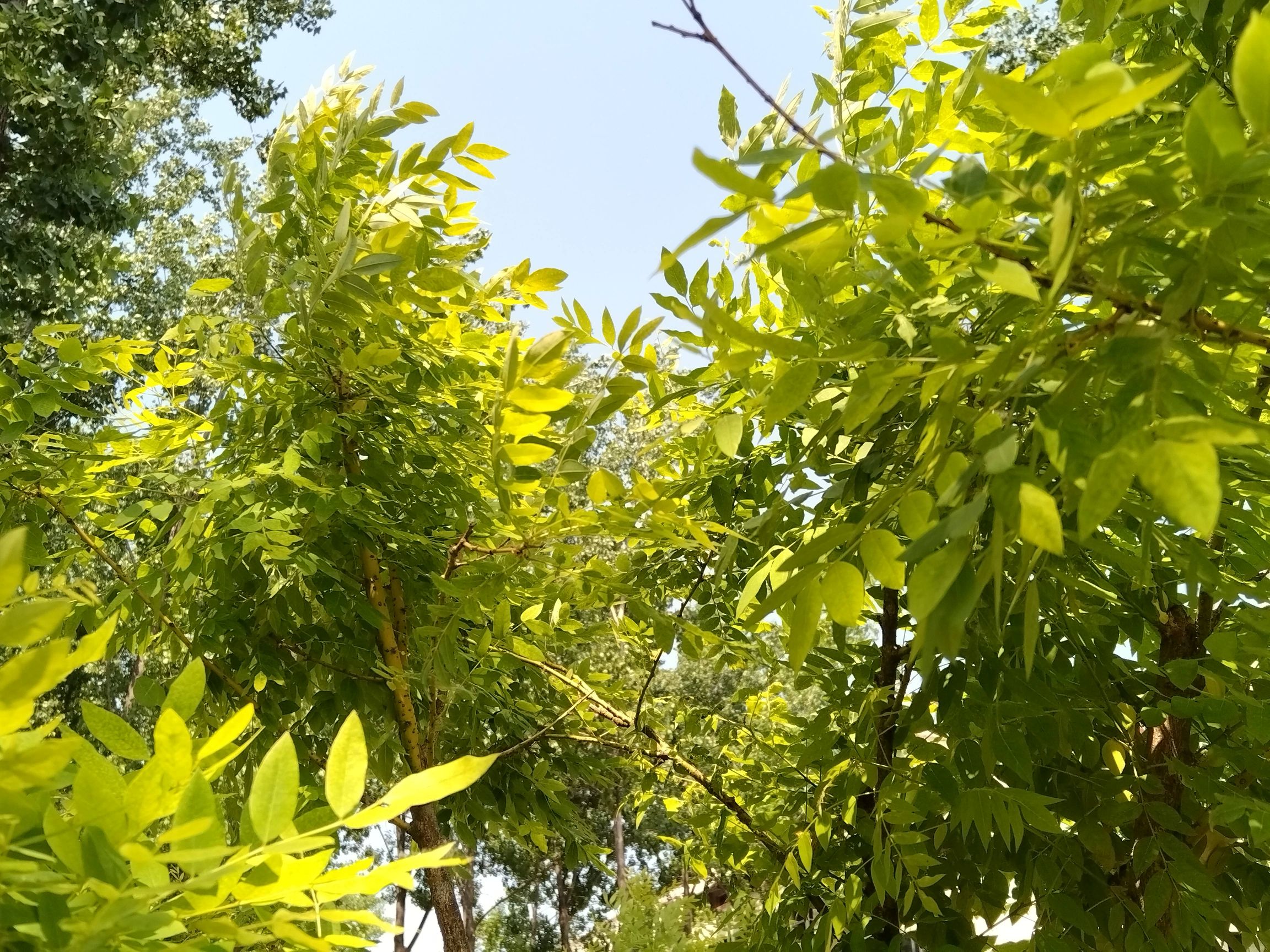 周口沙颍河风景区旅行图片 2