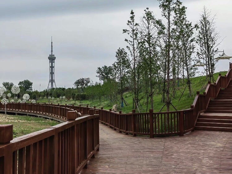 周口沙颍河风景区旅行图片 3
