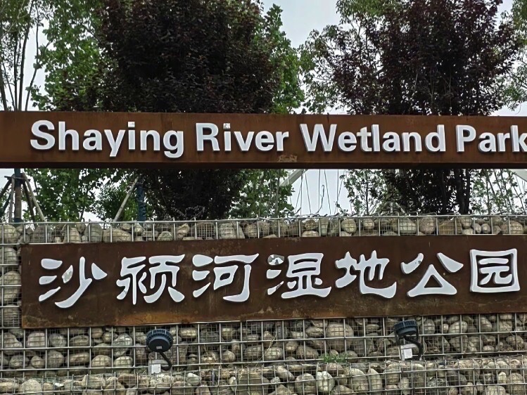 周口沙颍河风景区旅行图片 1