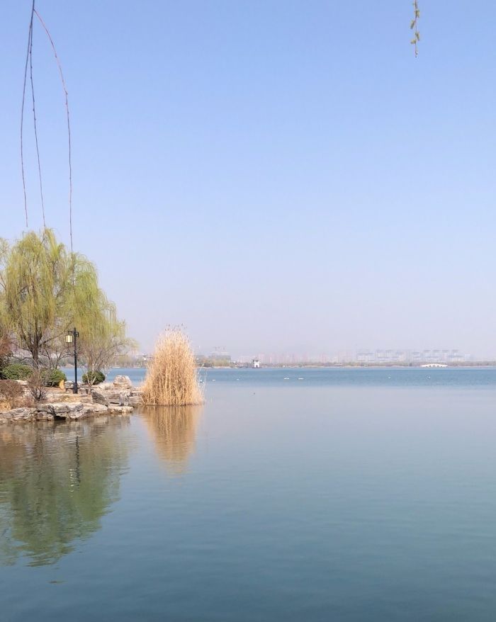南湖湿地公园旅行图片 3