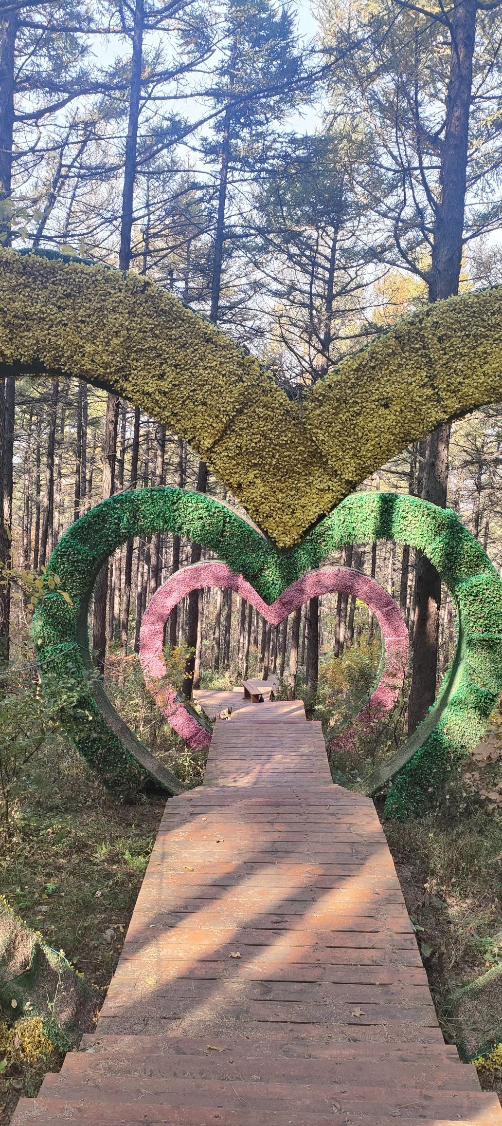 大架子山景区旅行图片 1
