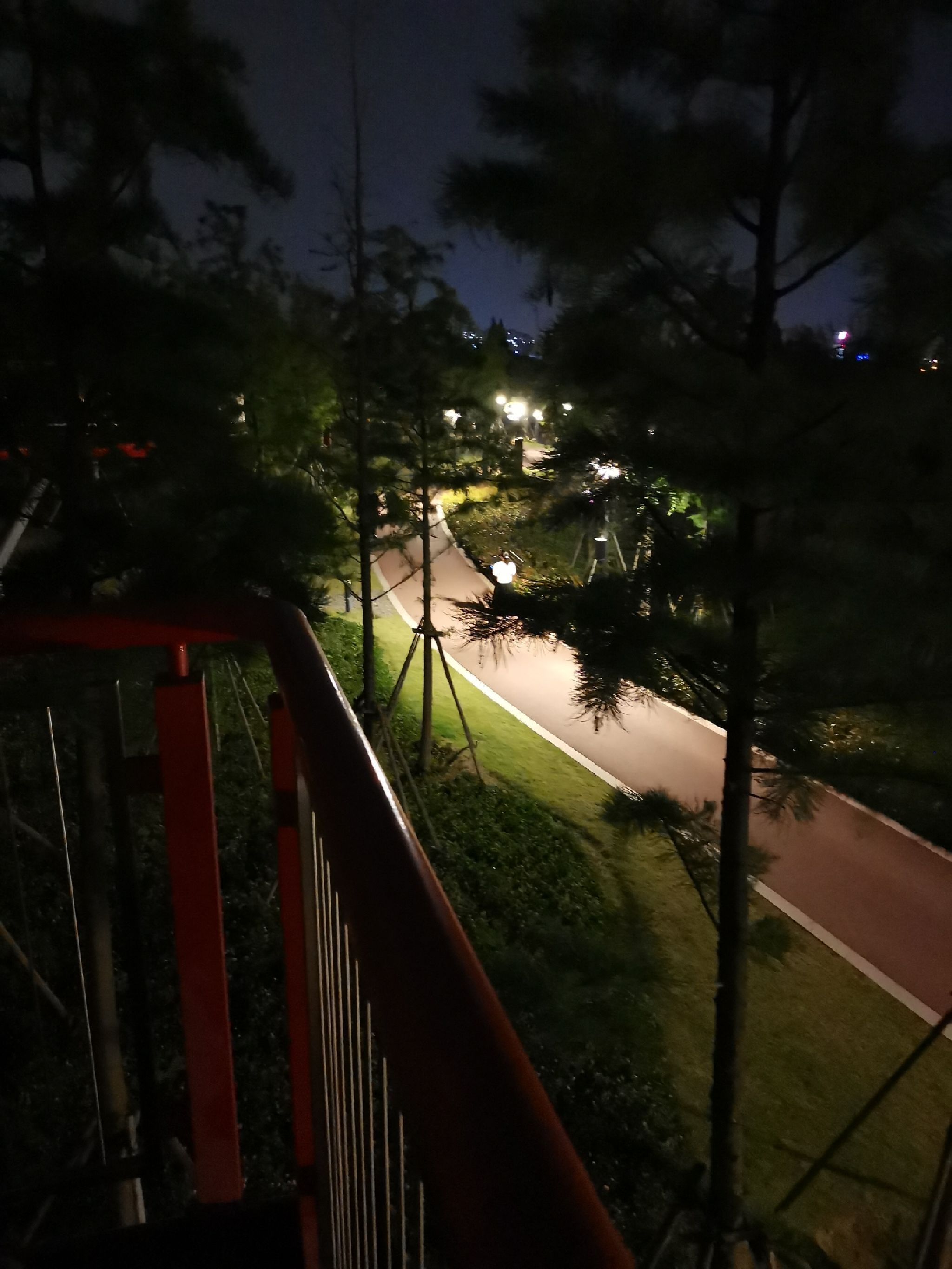 城铁片区森林公园旅行图片 1
