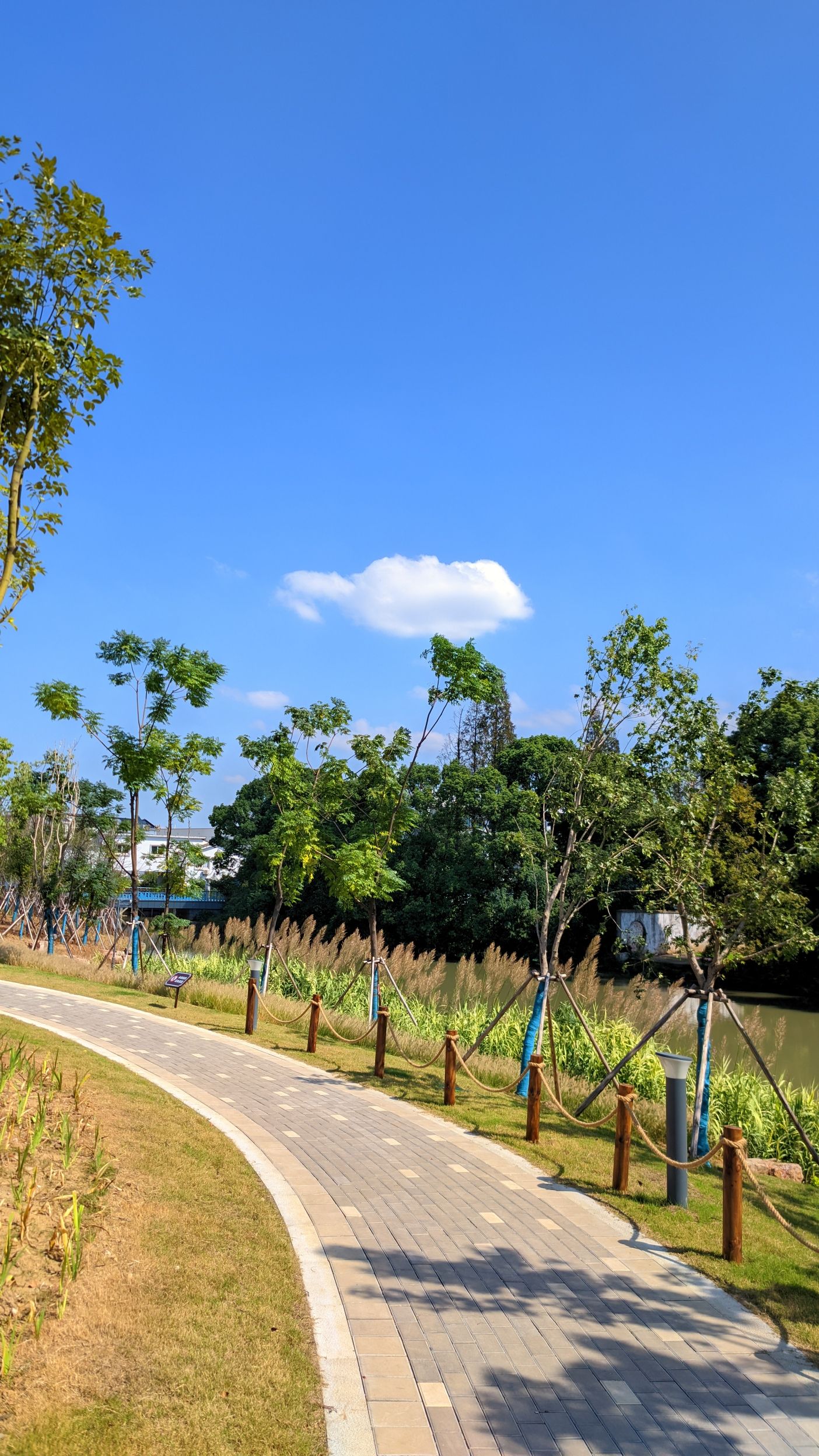 城铁片区森林公园旅行图片 1