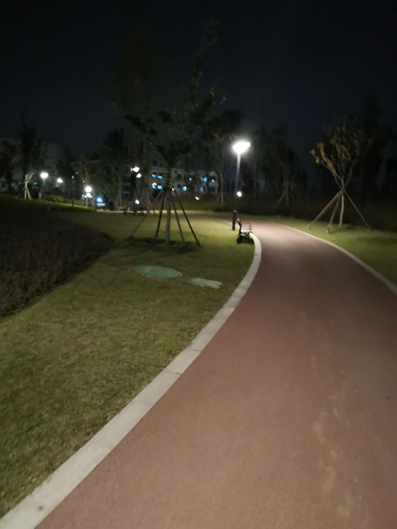 城铁片区森林公园旅行图片 2
