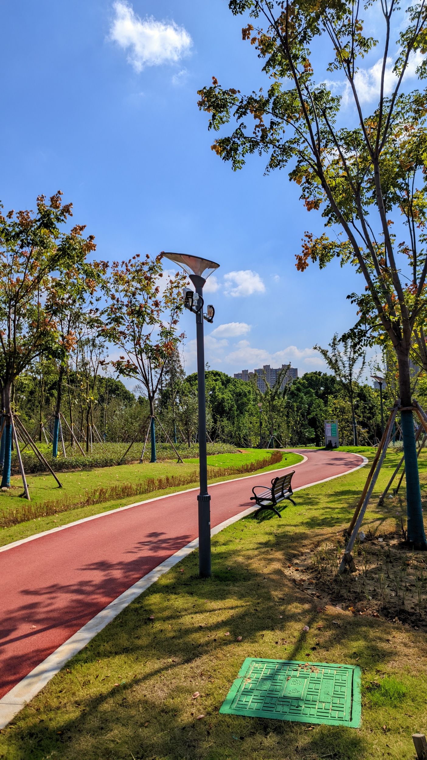 城铁片区森林公园旅行图片 2