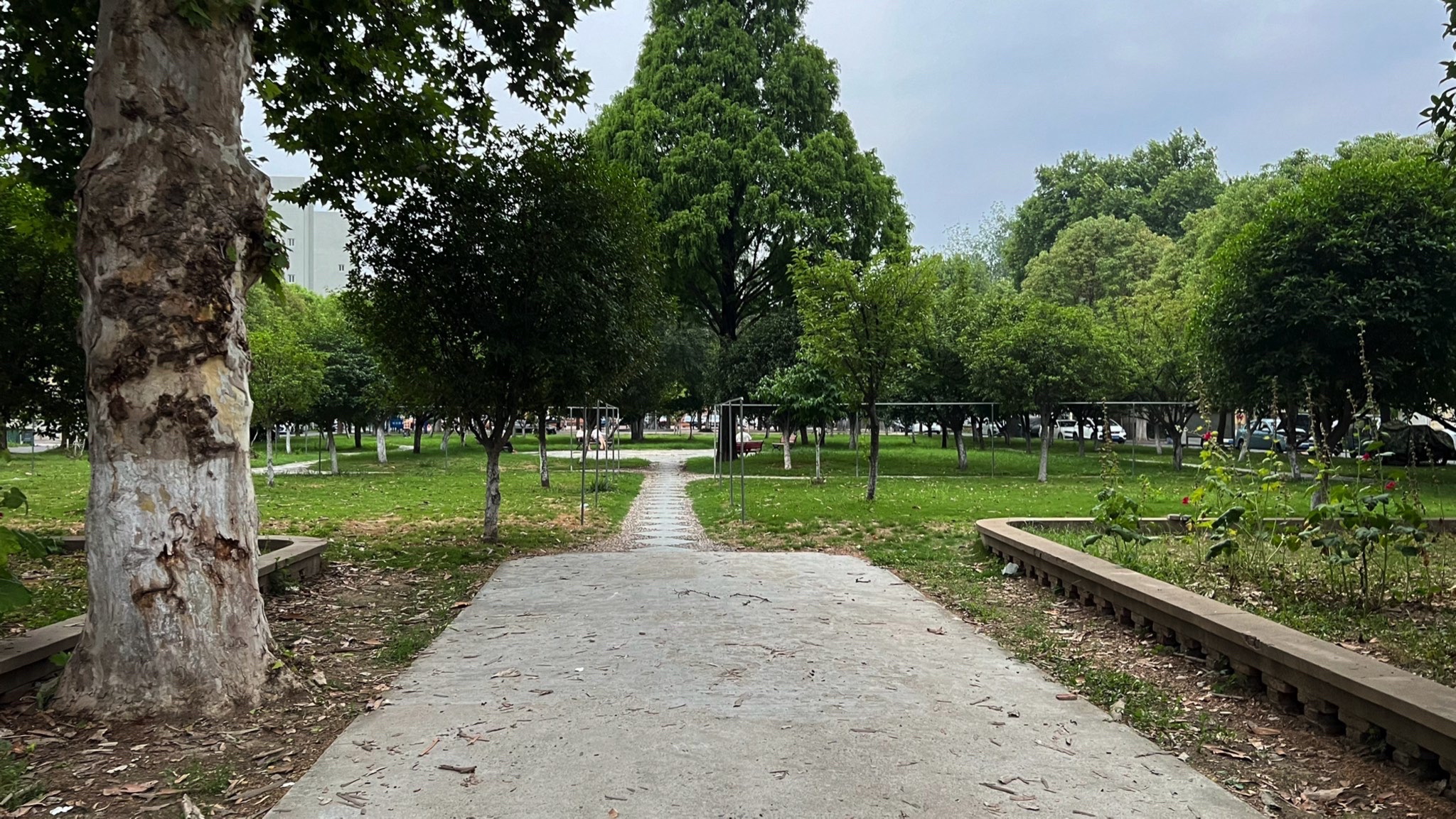 阜阳师范大学信息工程学院-公园旅行图片 1