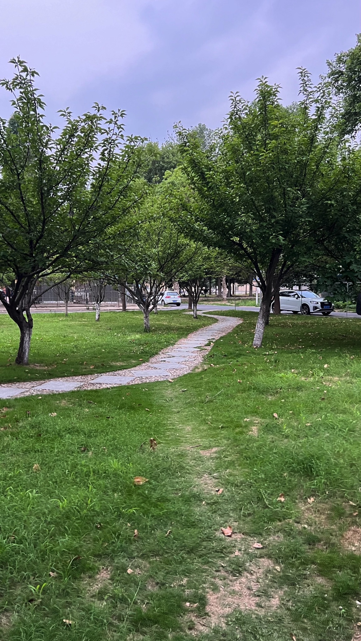阜阳师范大学信息工程学院-公园旅行图片 3