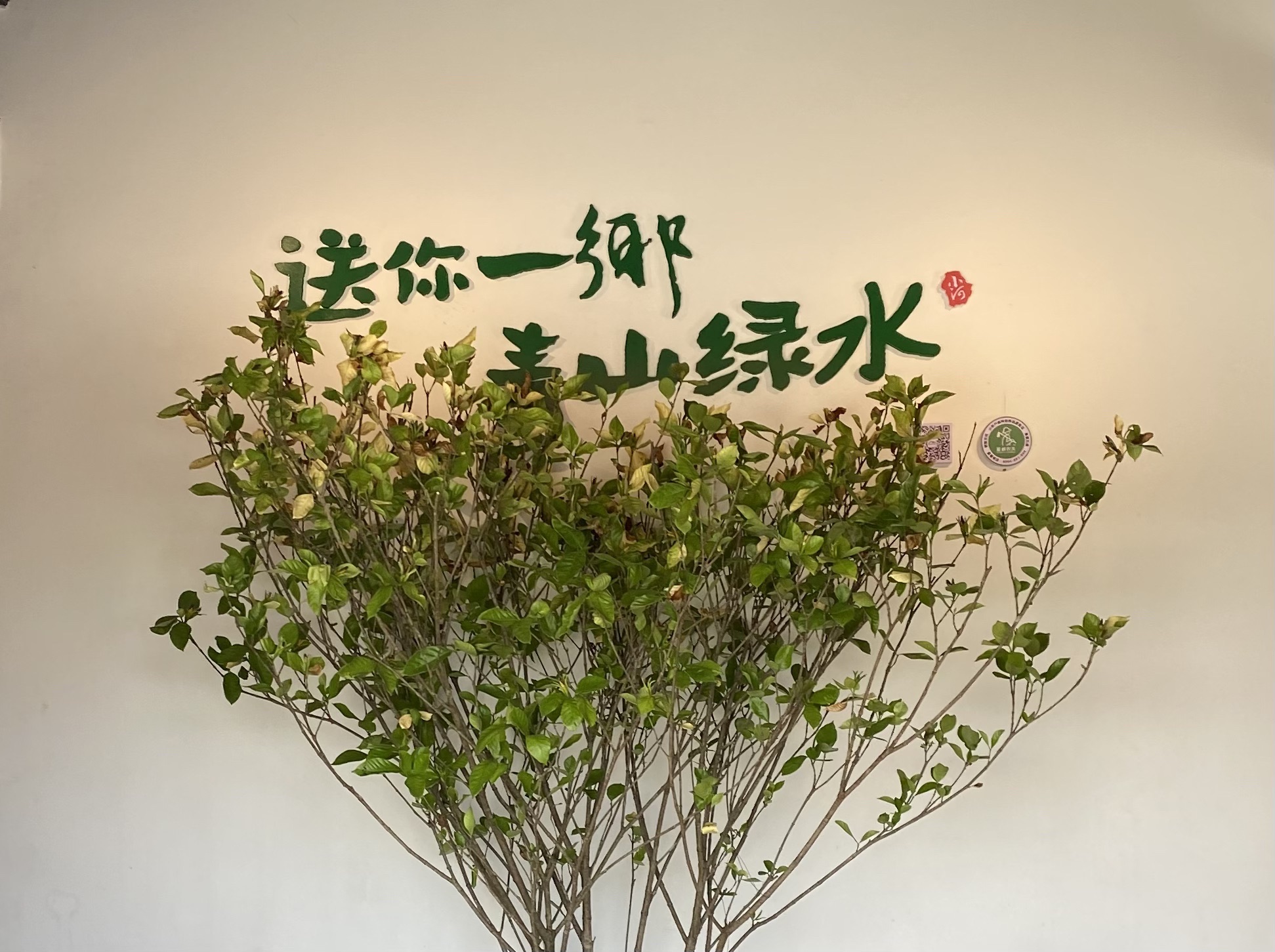 画里小河·网红鱼鳞坝旅行图片 2