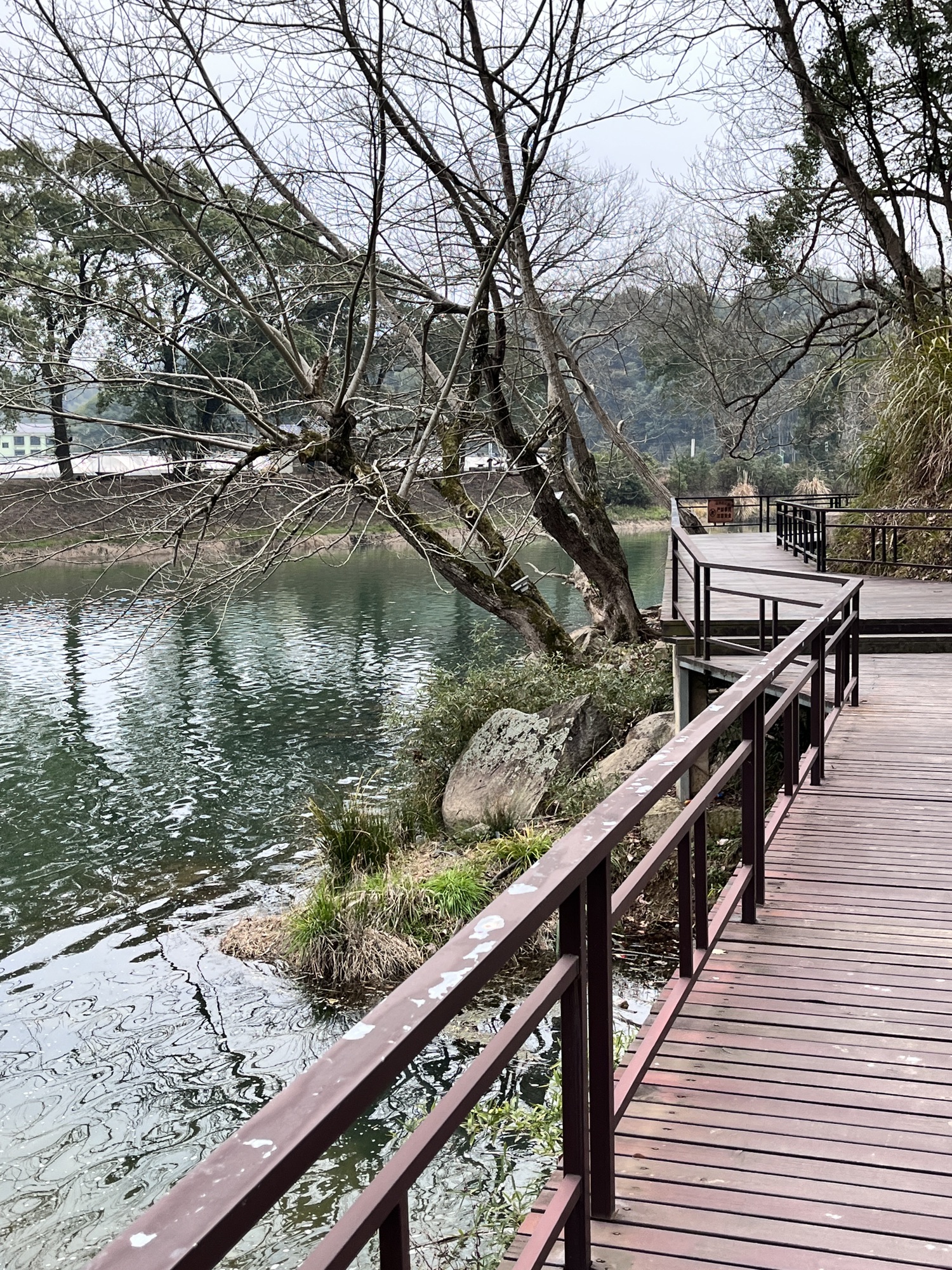 画里小河·网红鱼鳞坝旅行图片 3