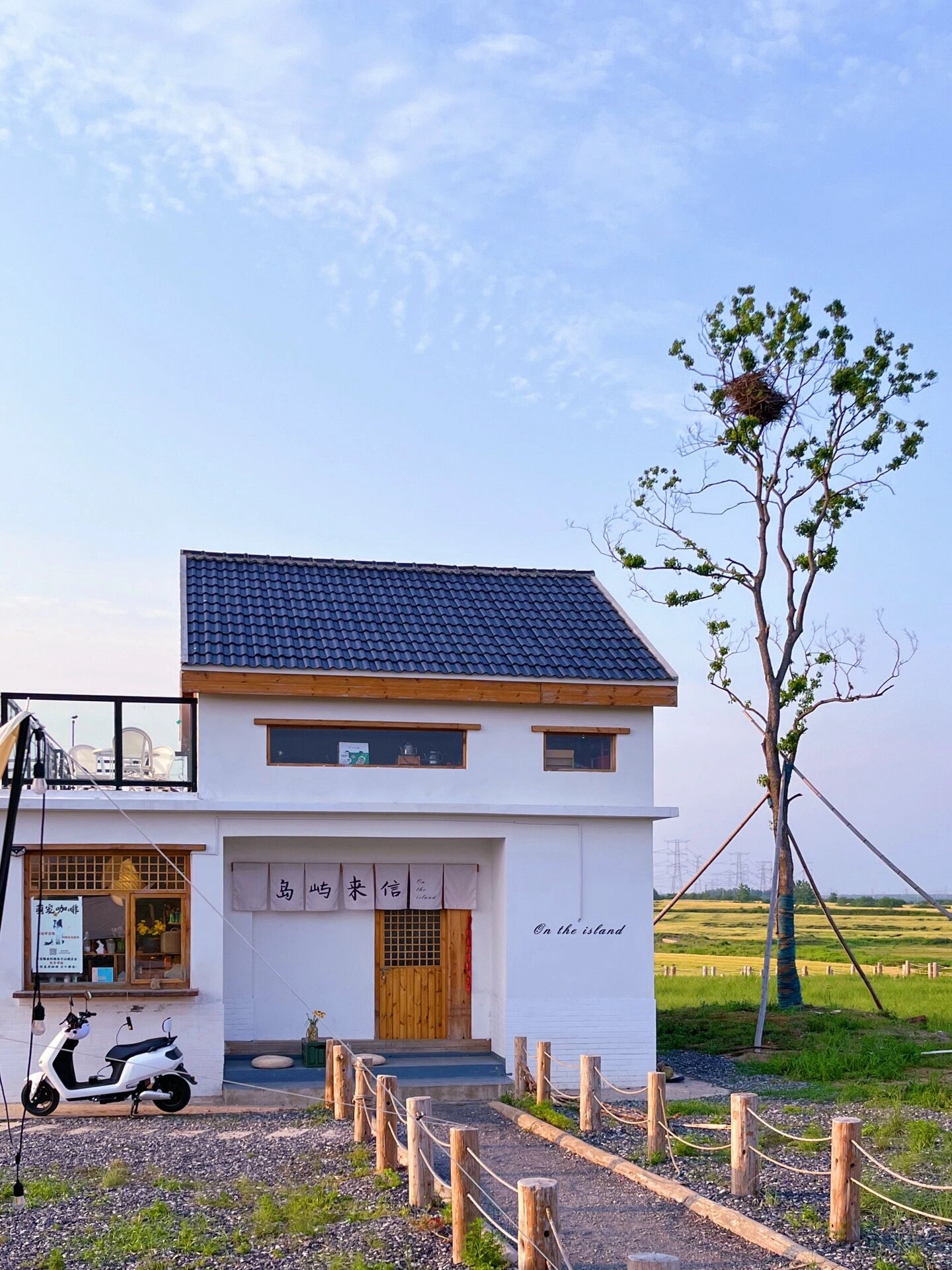 蜀山区小岭南花海旅行图片 3