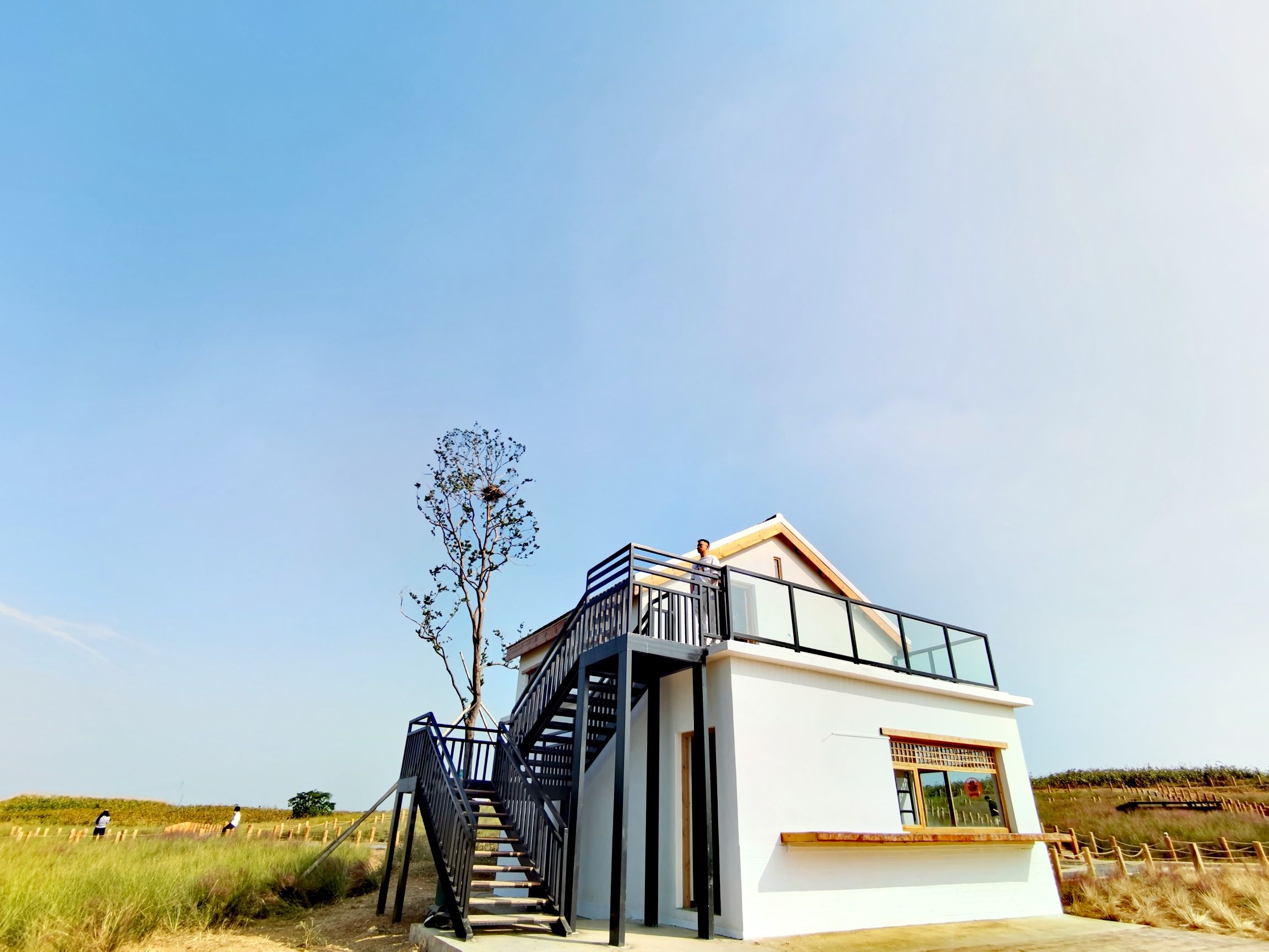 蜀山区小岭南花海旅行图片 2